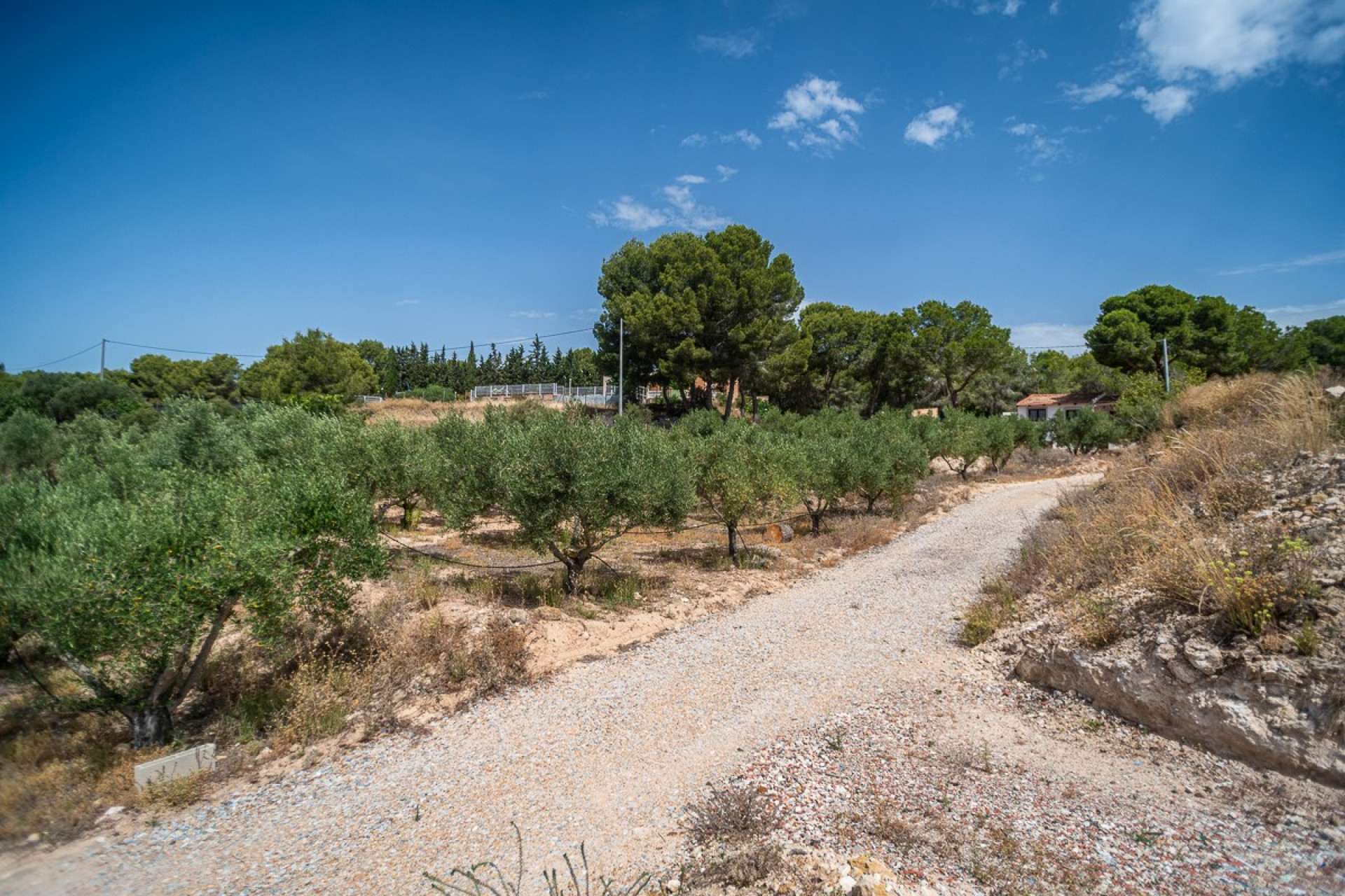 Reventa - Apartamento / piso - LA TERCIA - La Tercia