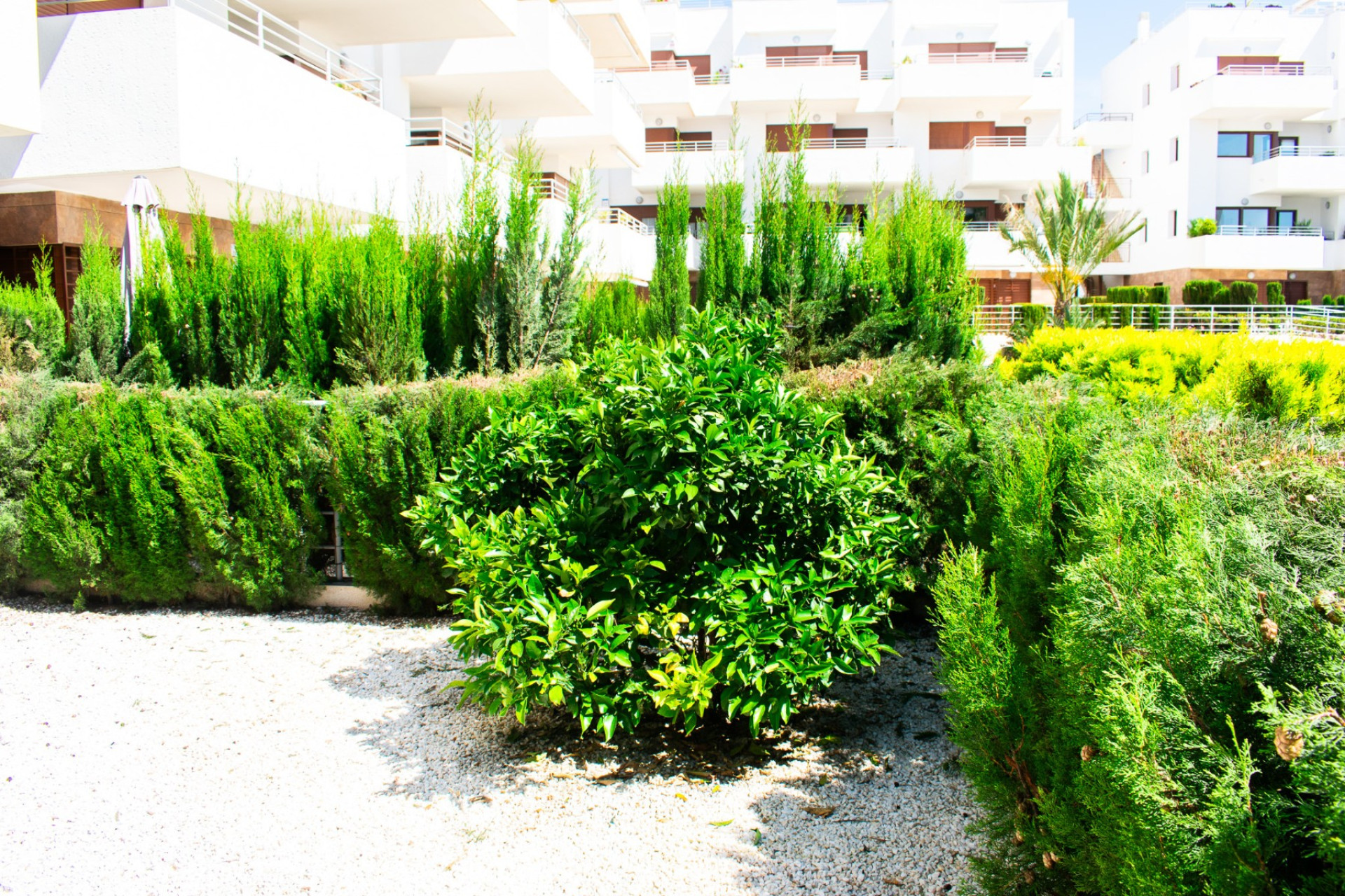 Reventa - Apartamento / piso - Orihuela Costa - Cabo Roig