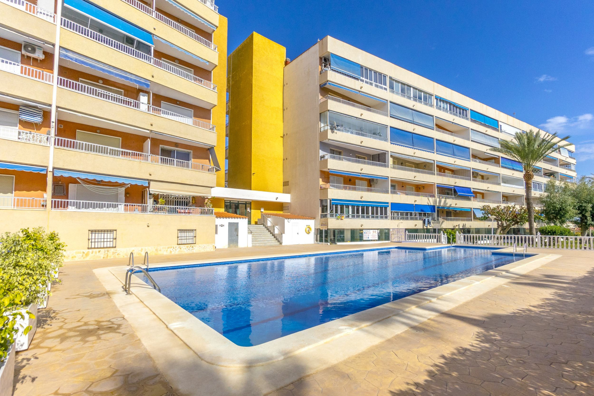 Reventa - Apartamento / piso - Punta Prima - El Acequión