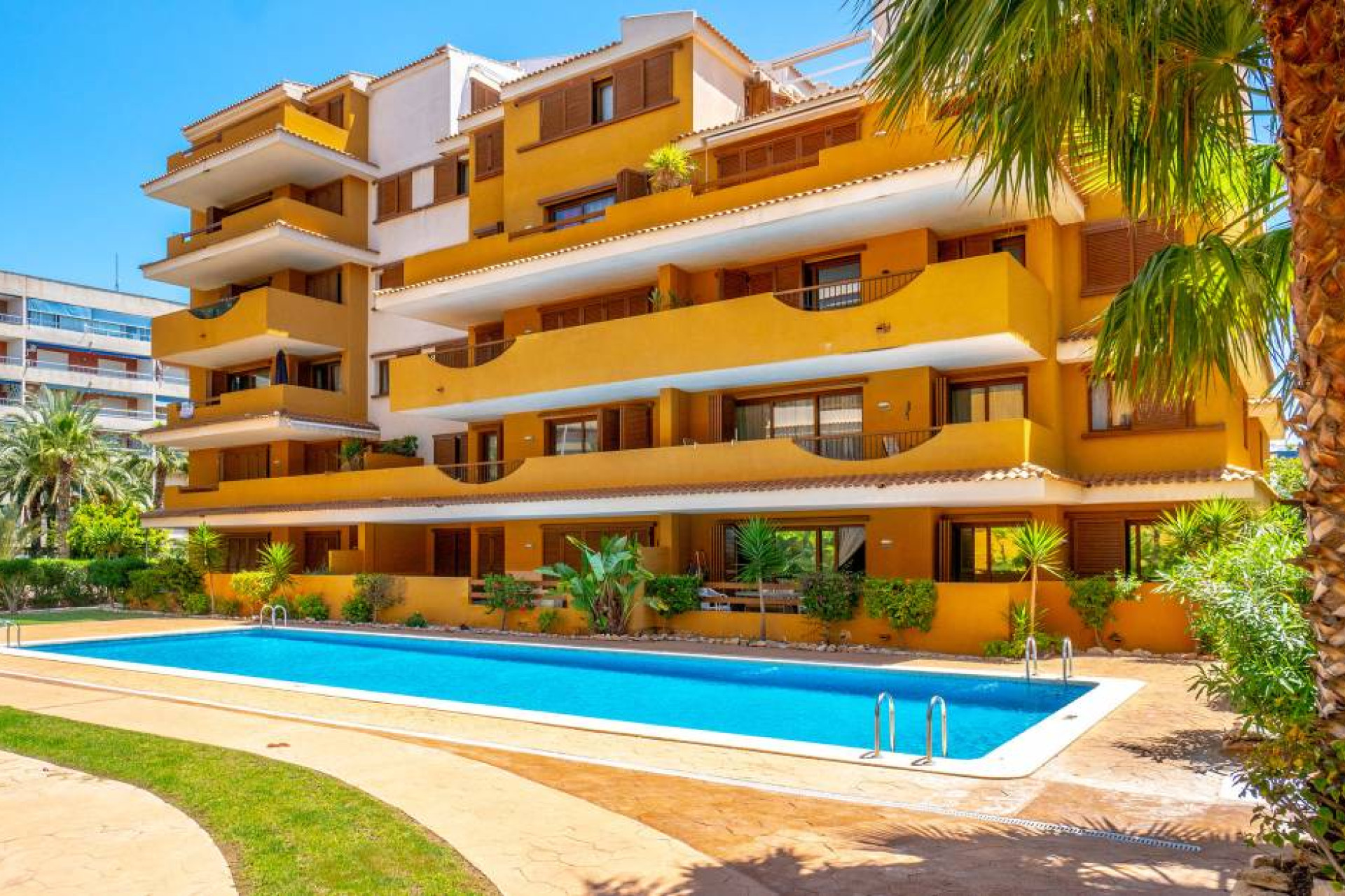 Reventa - Apartamento / piso - Punta Prima