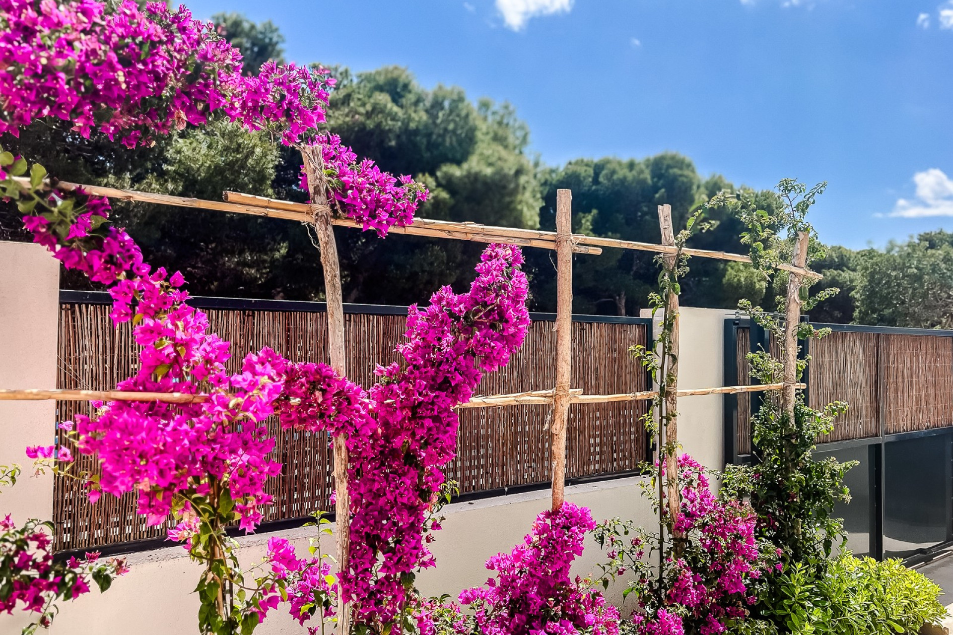 Reventa - Apartamento / piso - Santiago de la Ribera - zona san blas