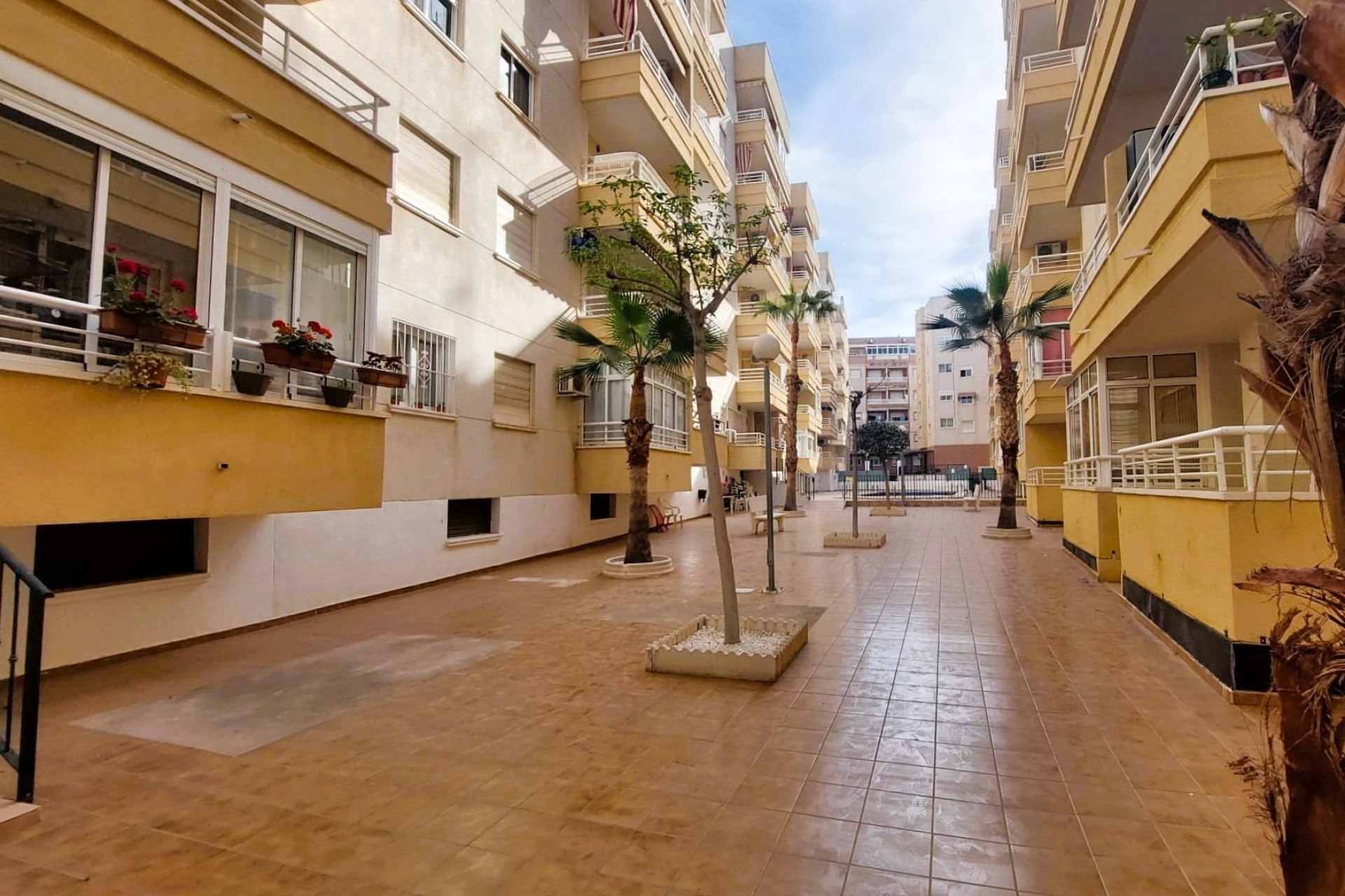 Reventa - Apartamento / piso - Torrevieja - Centro