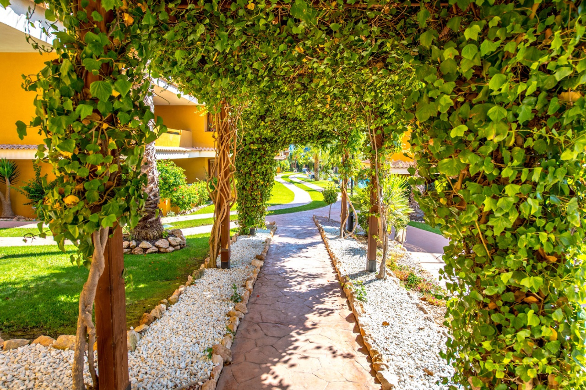 Reventa - Apartamento / piso - Torrevieja - Punta Prima