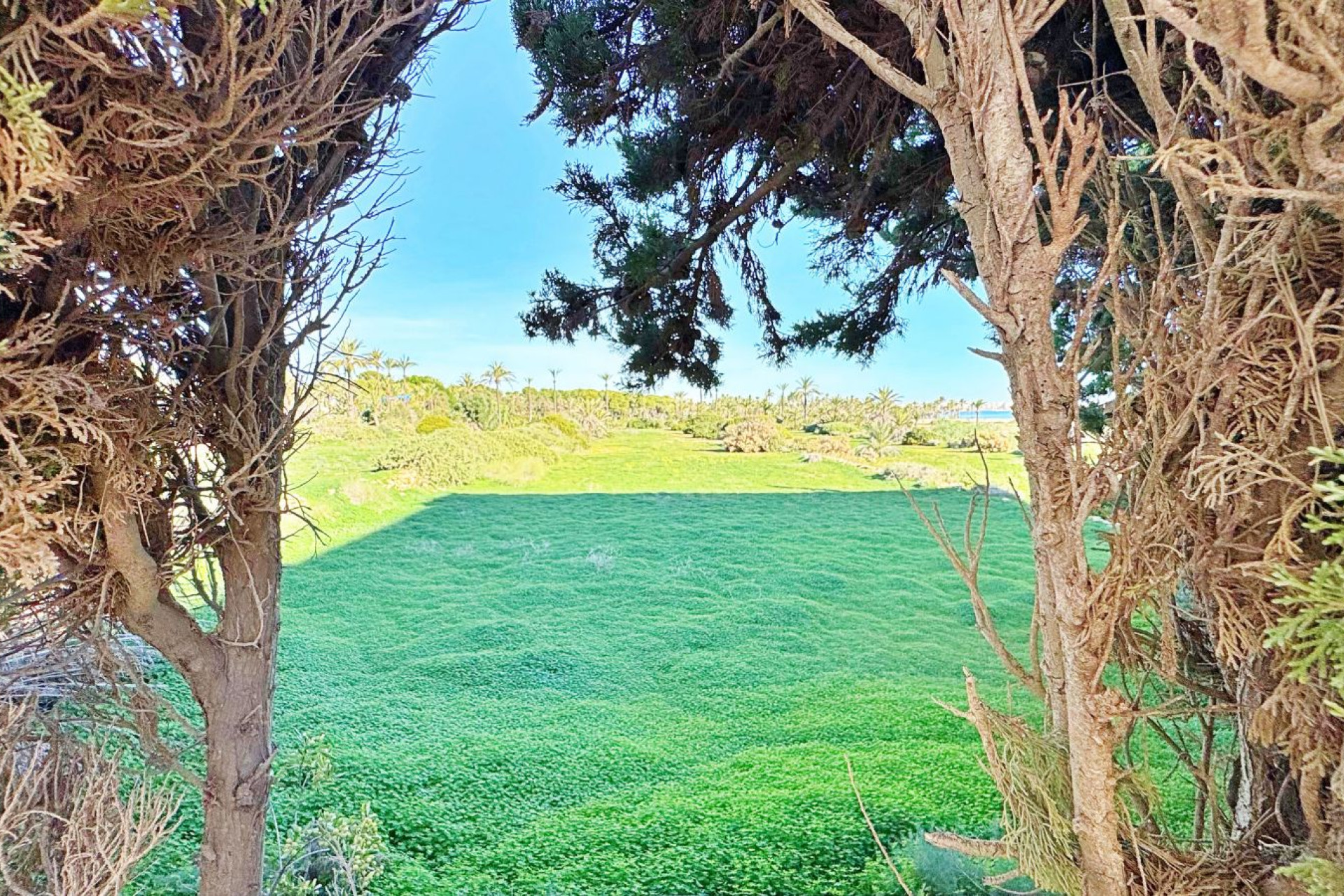 Reventa - Apartamento / piso - Torrevieja - Rocio del Mar