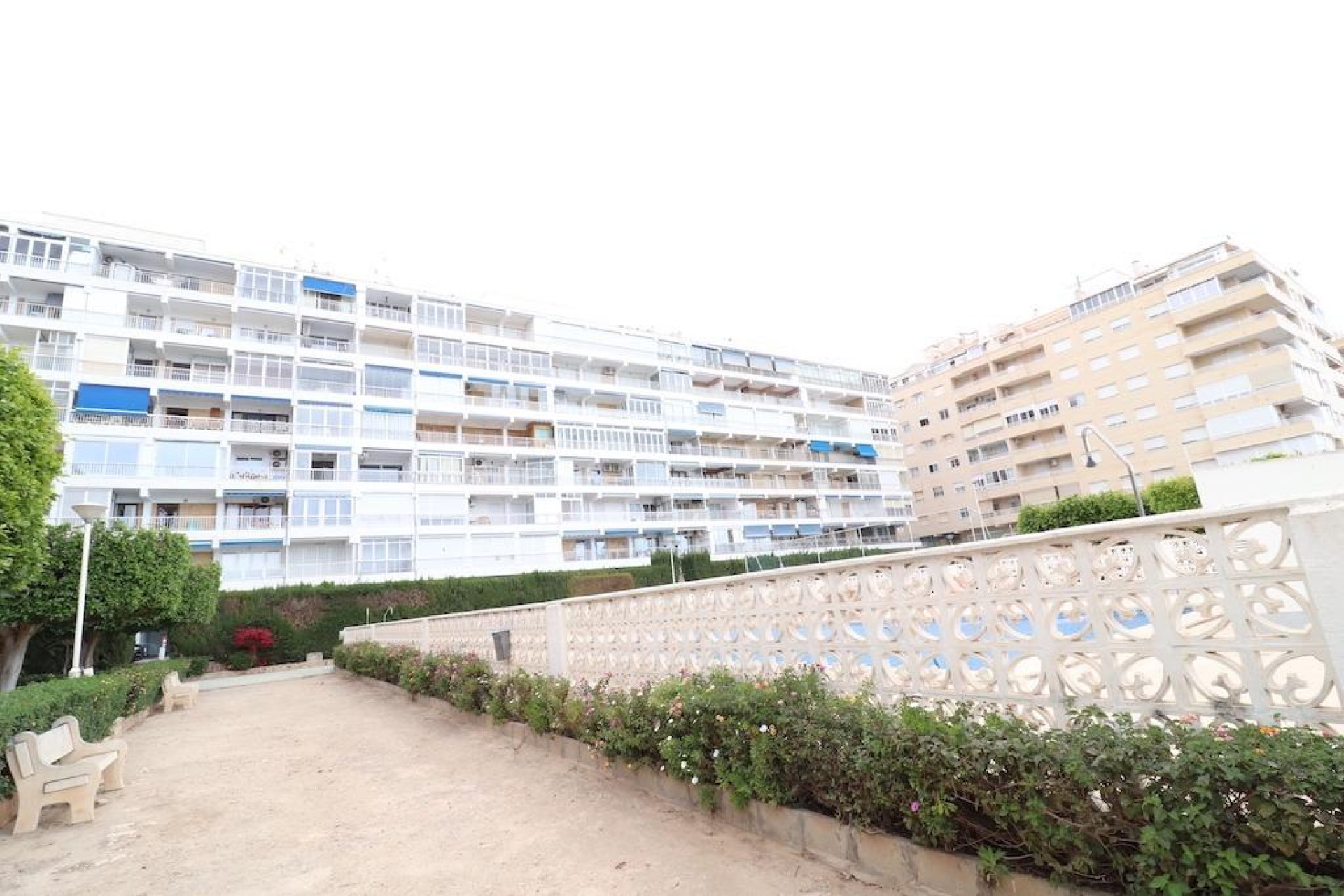 Reventa - Apartamento / piso - Torrevieja - torrevieja