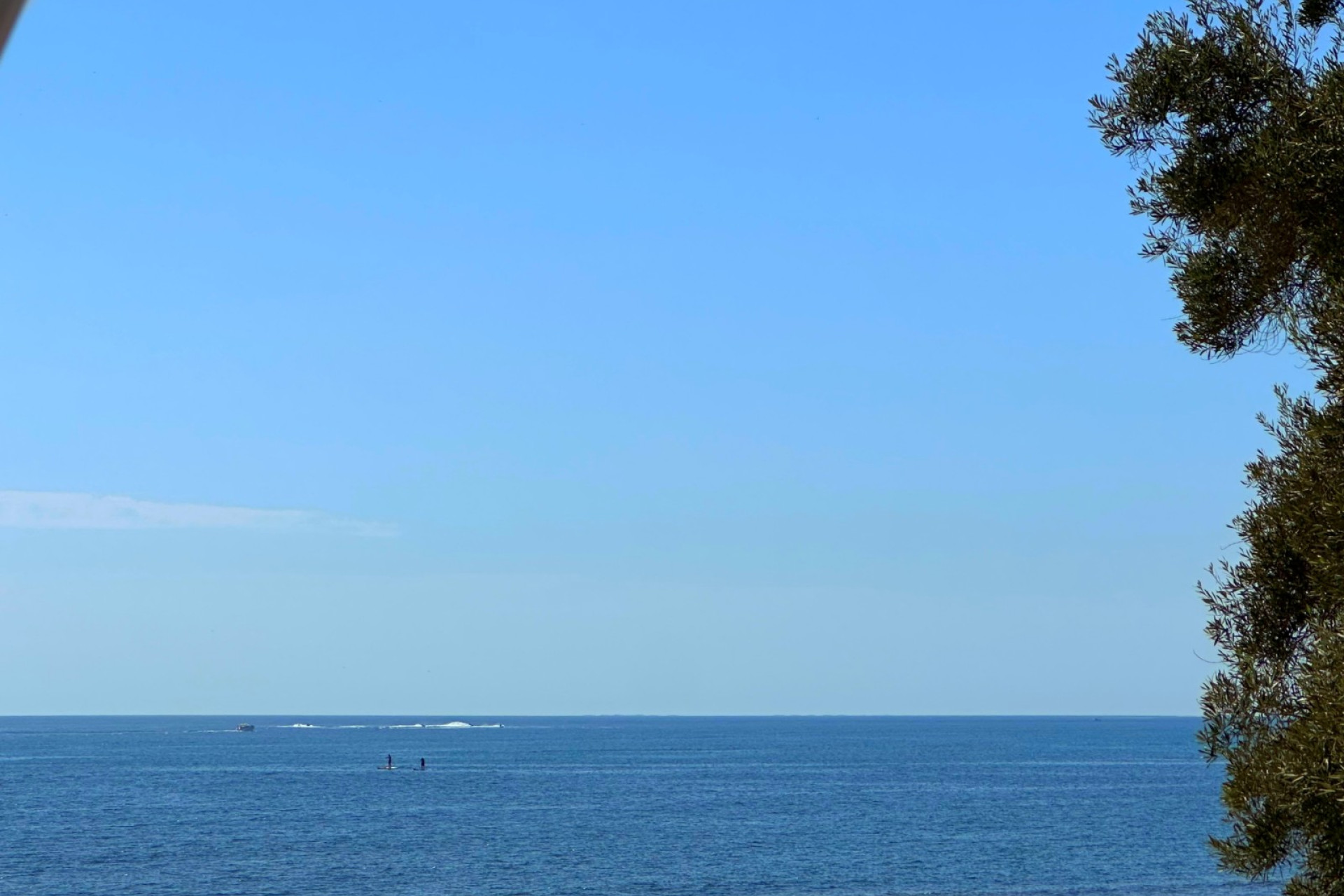 Reventa - Apartment / Duplex - Torrevieja - torrevieja