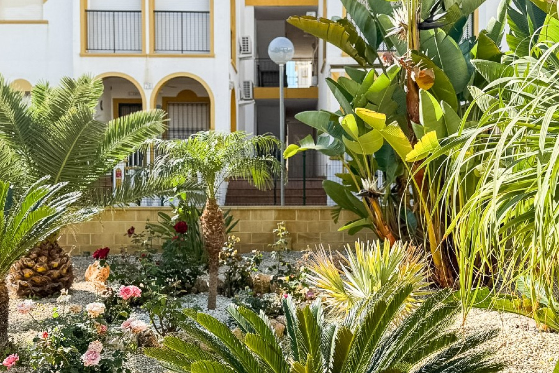 Reventa - Ático - Torrevieja - Torrelamata - La Mata