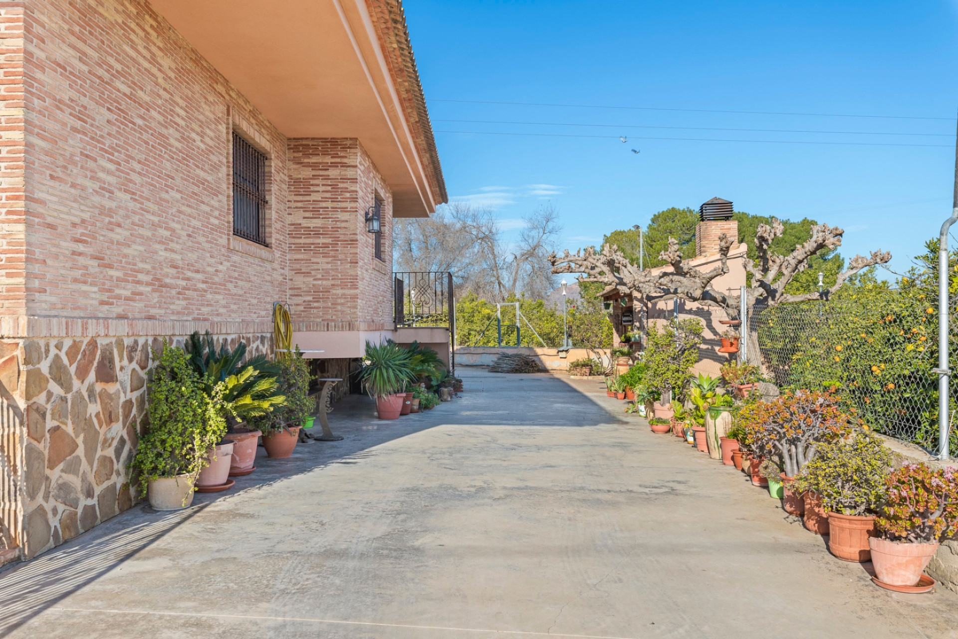 Reventa - Finca / Casa de Campo - Beniel - Carretera de Beniel