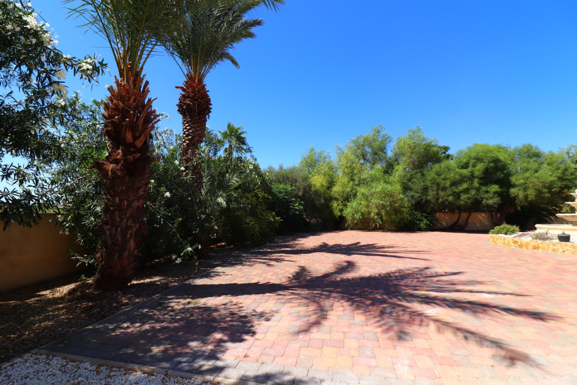 Reventa - Finca / Casa de Campo - Catral