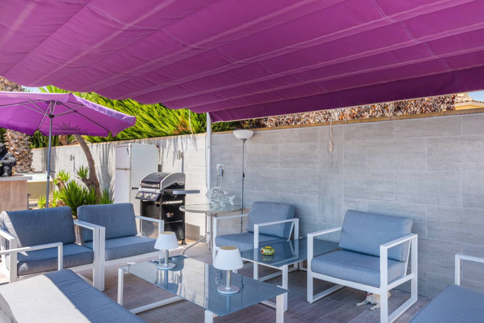 Reventa - Finca / Casa de Campo - Catral