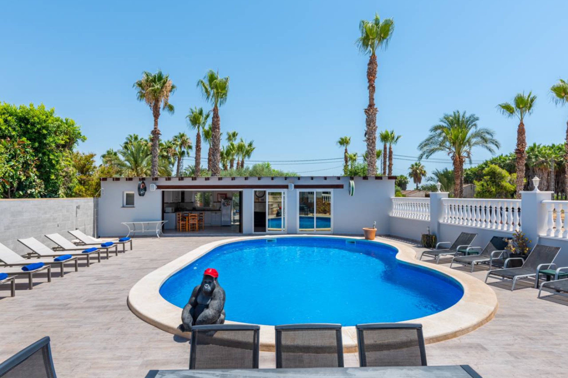 Reventa - Finca / Casa de Campo - Catral