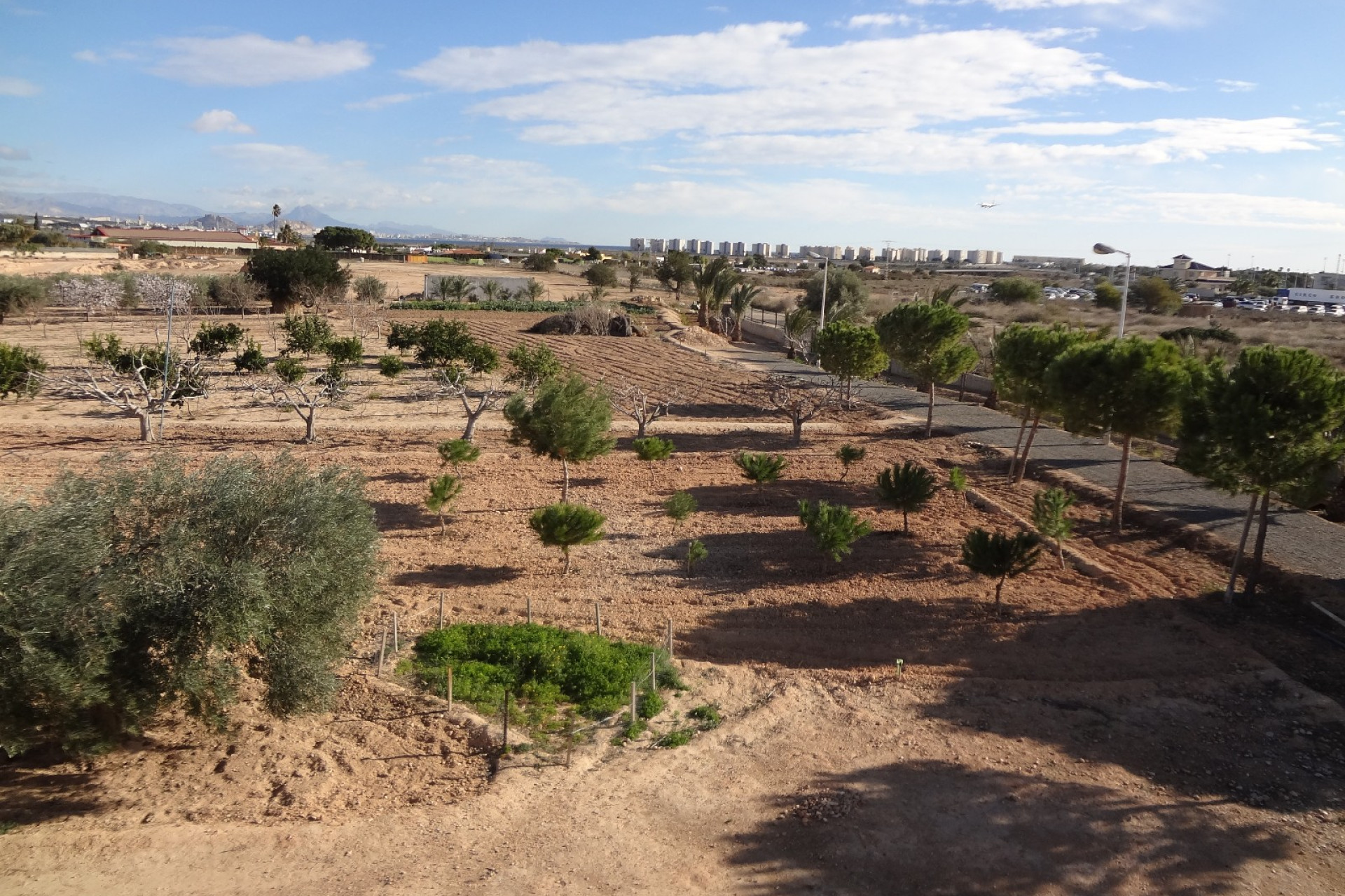 Reventa - Finca / Casa de Campo - El Altet