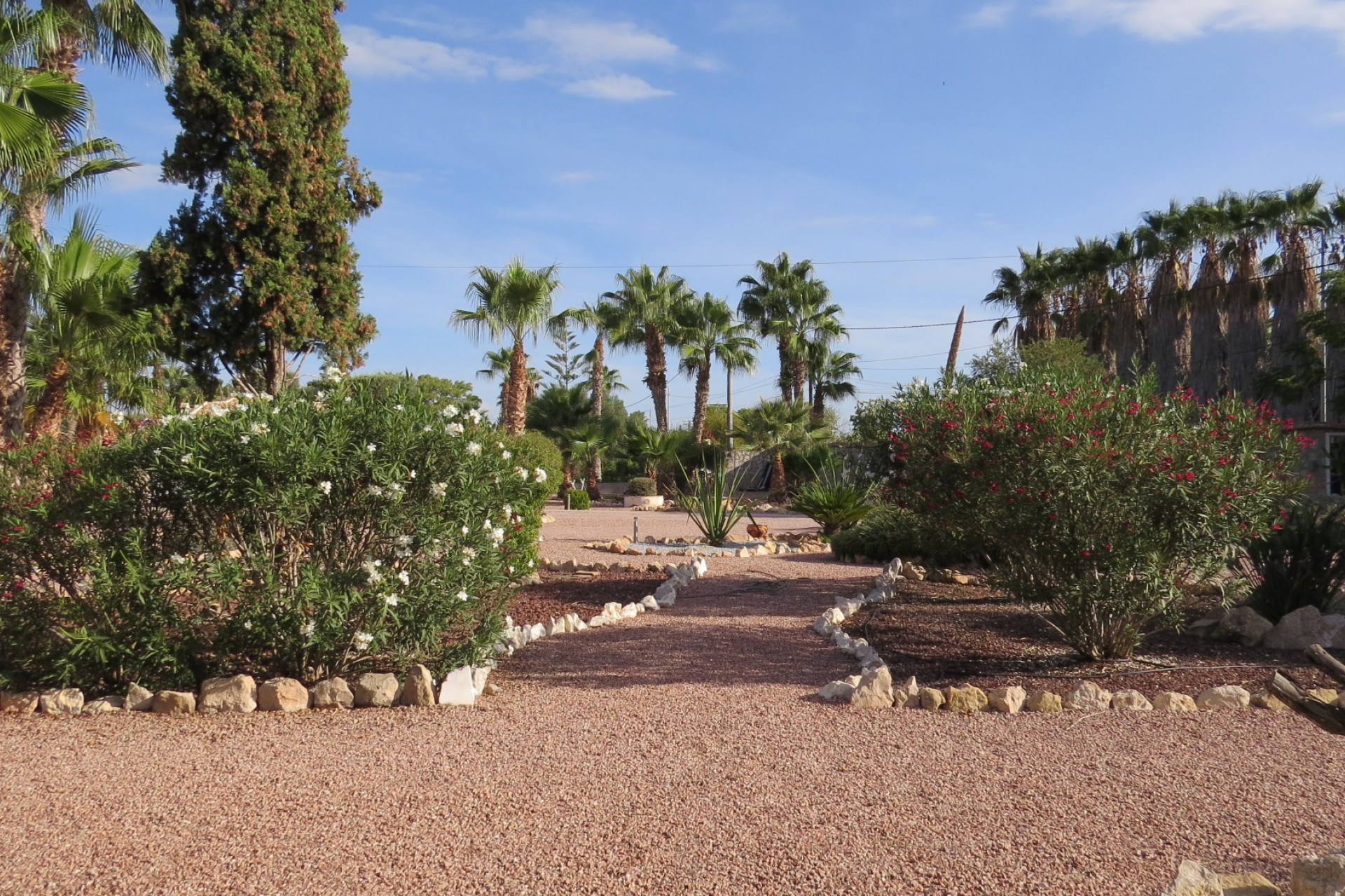 Reventa - Finca / Casa de Campo - Guardamar del Segura - Daya Vieja