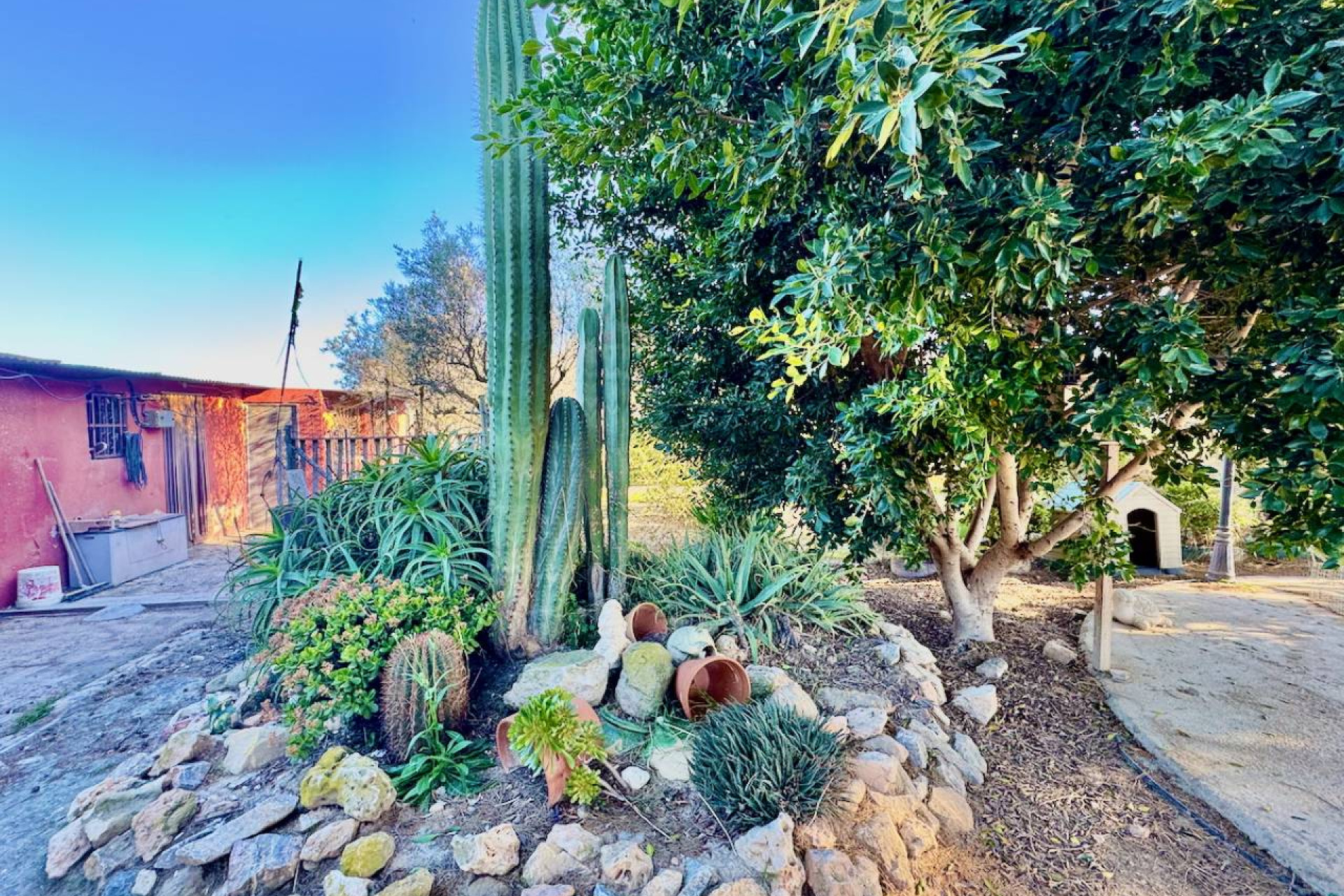 Reventa - Finca / Casa de Campo - Guardamar del Segura - Guardamar Del Segura