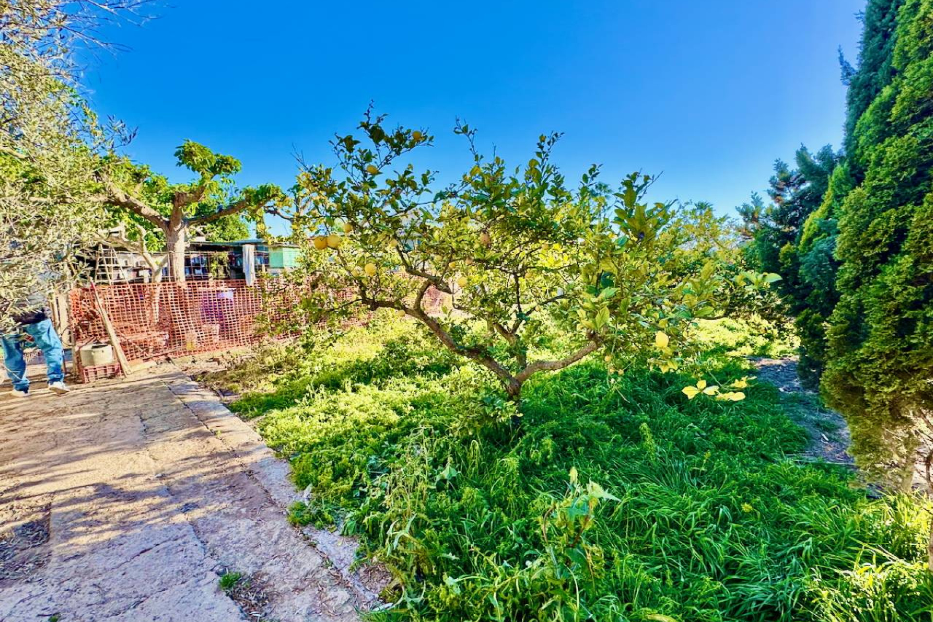 Reventa - Finca / Casa de Campo - Guardamar del Segura - Guardamar Del Segura