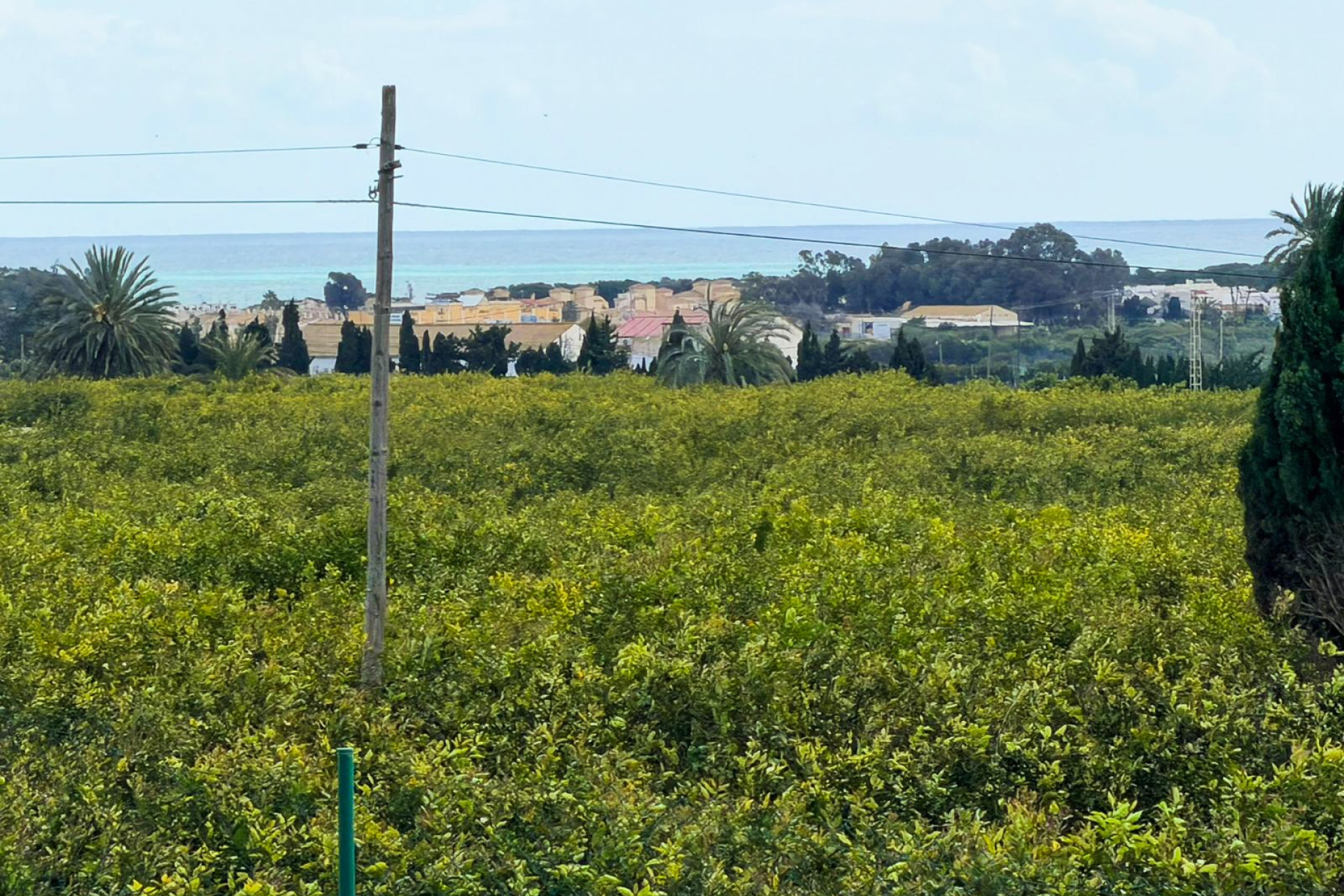 Reventa - Finca / Casa de Campo - Guardamar del Segura - Guardamar