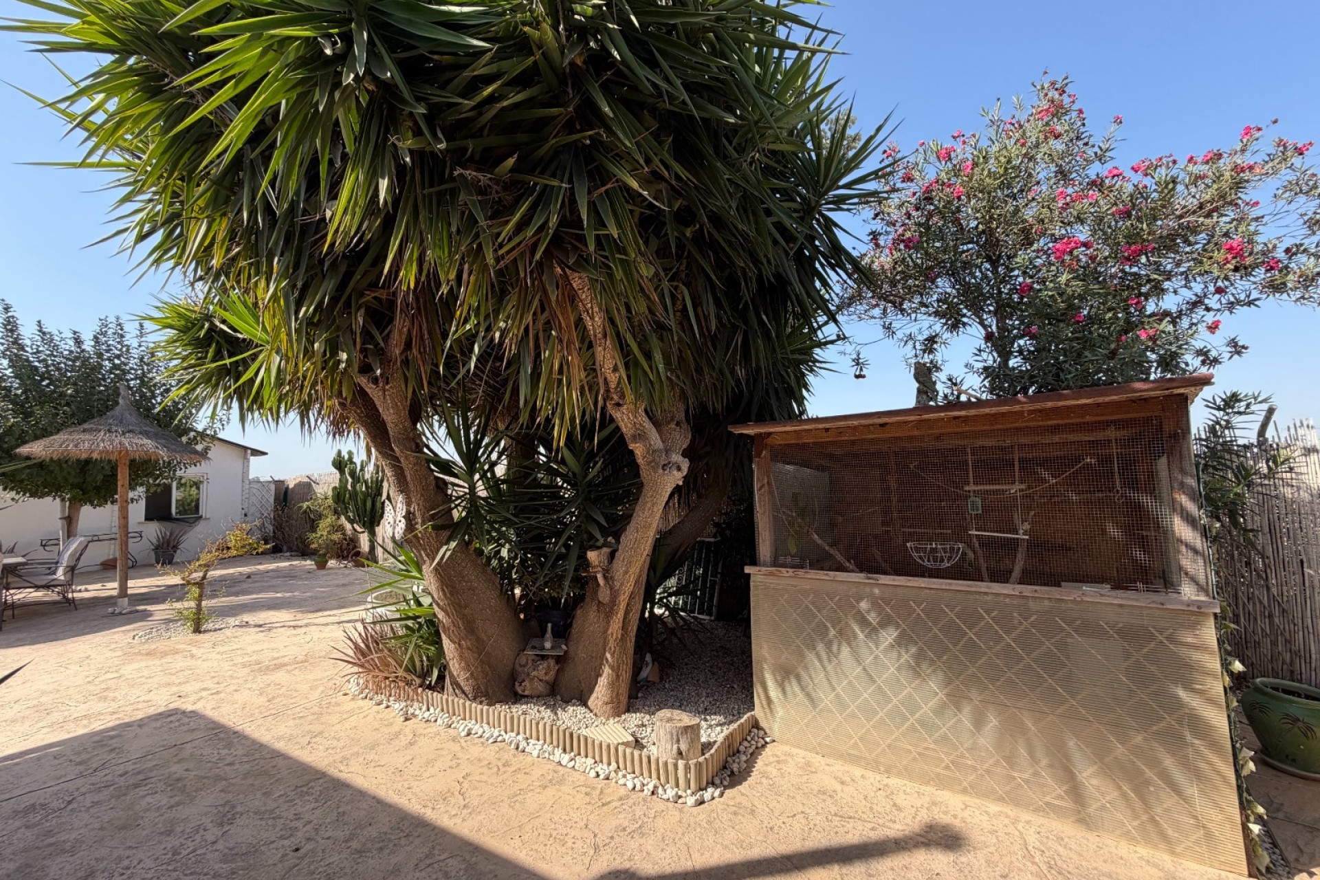 Reventa - Finca / Casa de Campo - La Marina - Elche / Elx