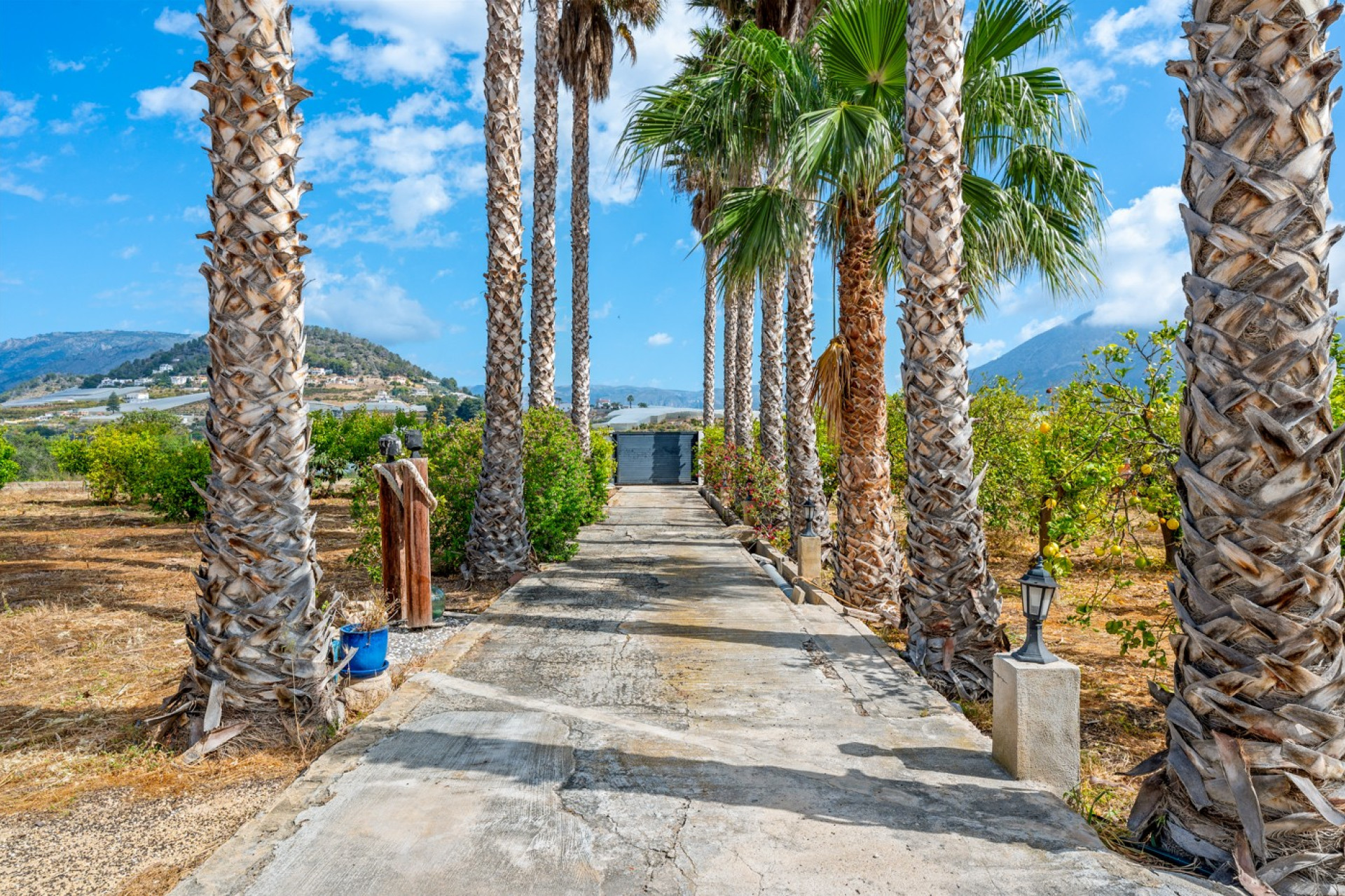 Reventa - Finca / Casa de Campo - La Nucía