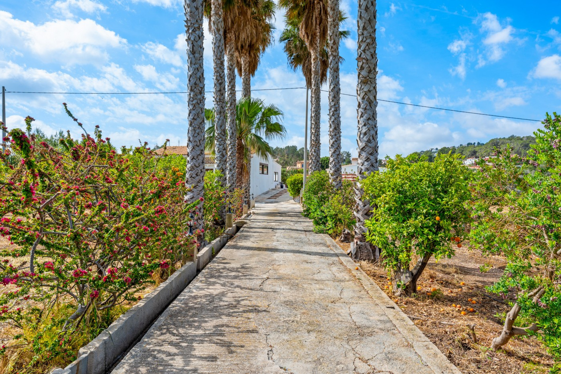 Reventa - Finca / Casa de Campo - La Nucía