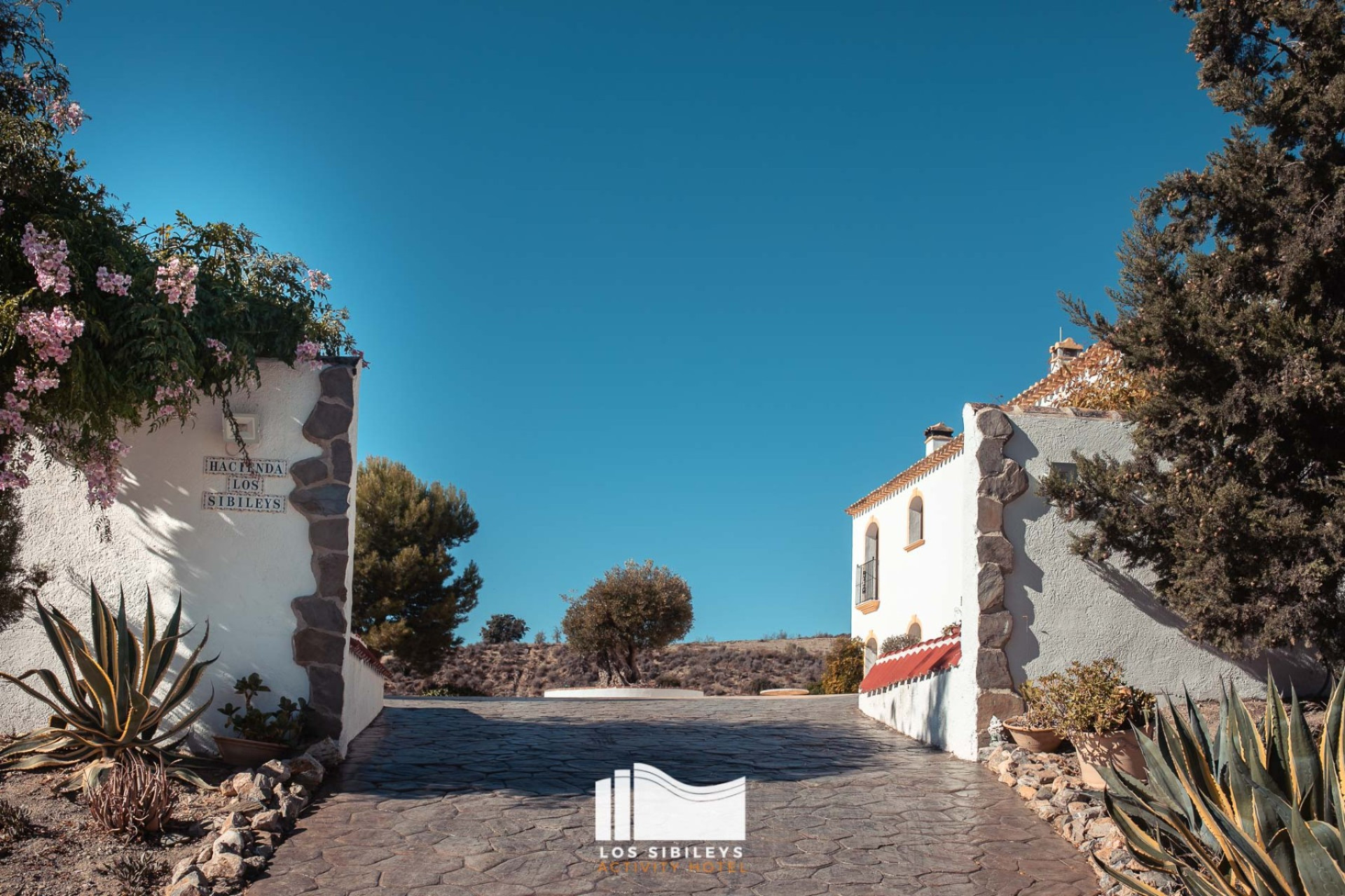 Reventa - Finca / Casa de Campo - Lorca