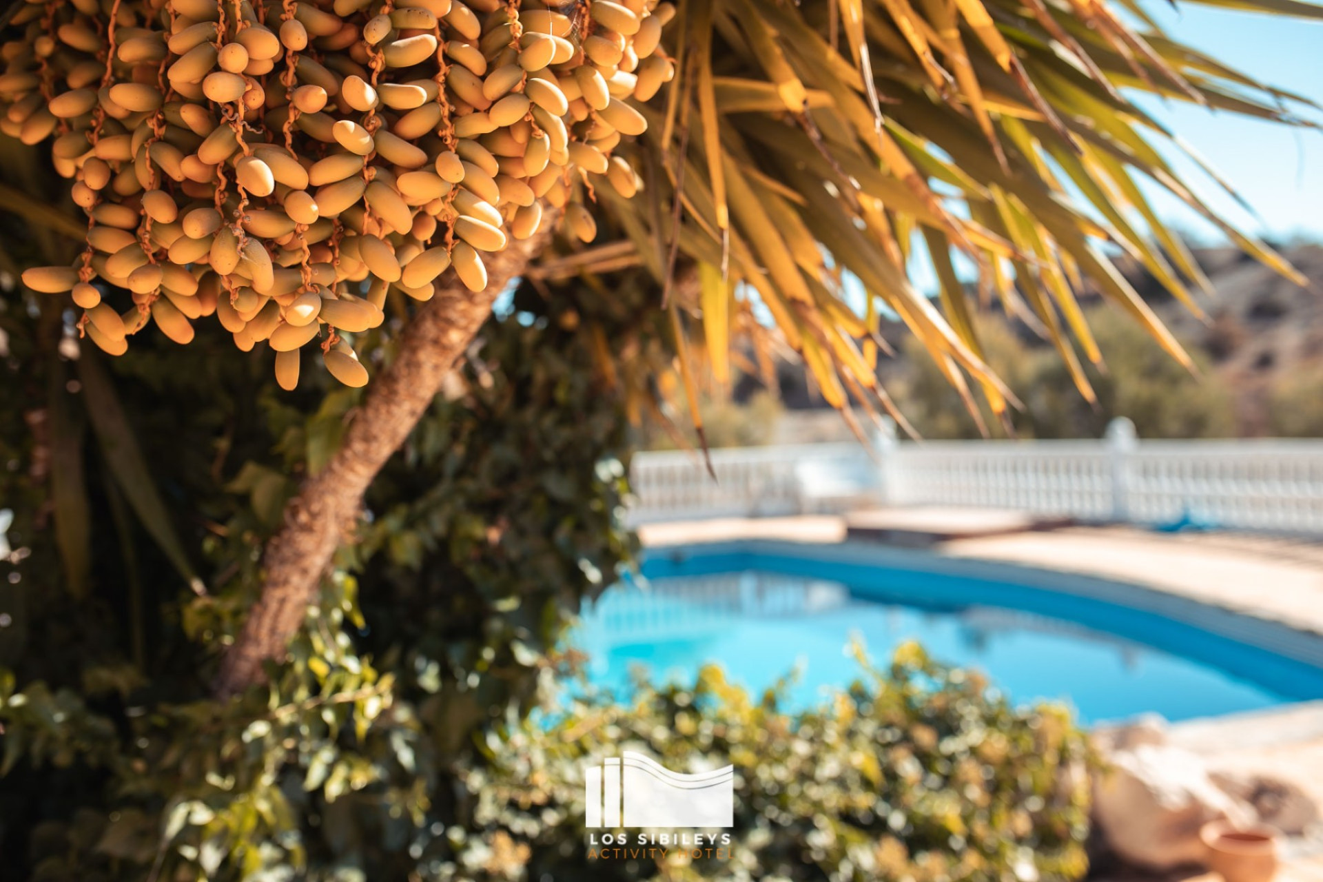 Reventa - Finca / Casa de Campo - Lorca