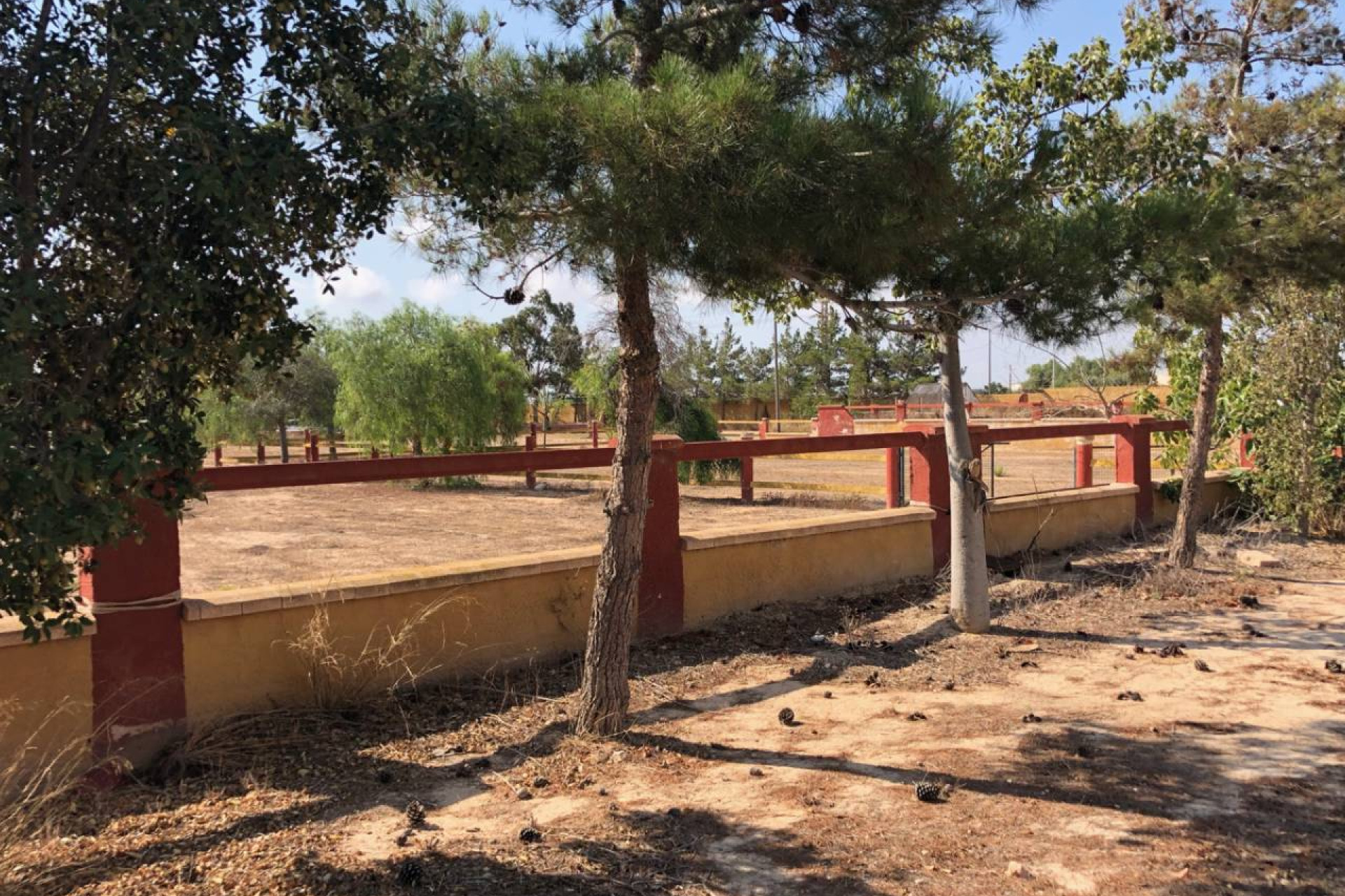 Reventa - Finca / Casa de Campo - Los Montesinos