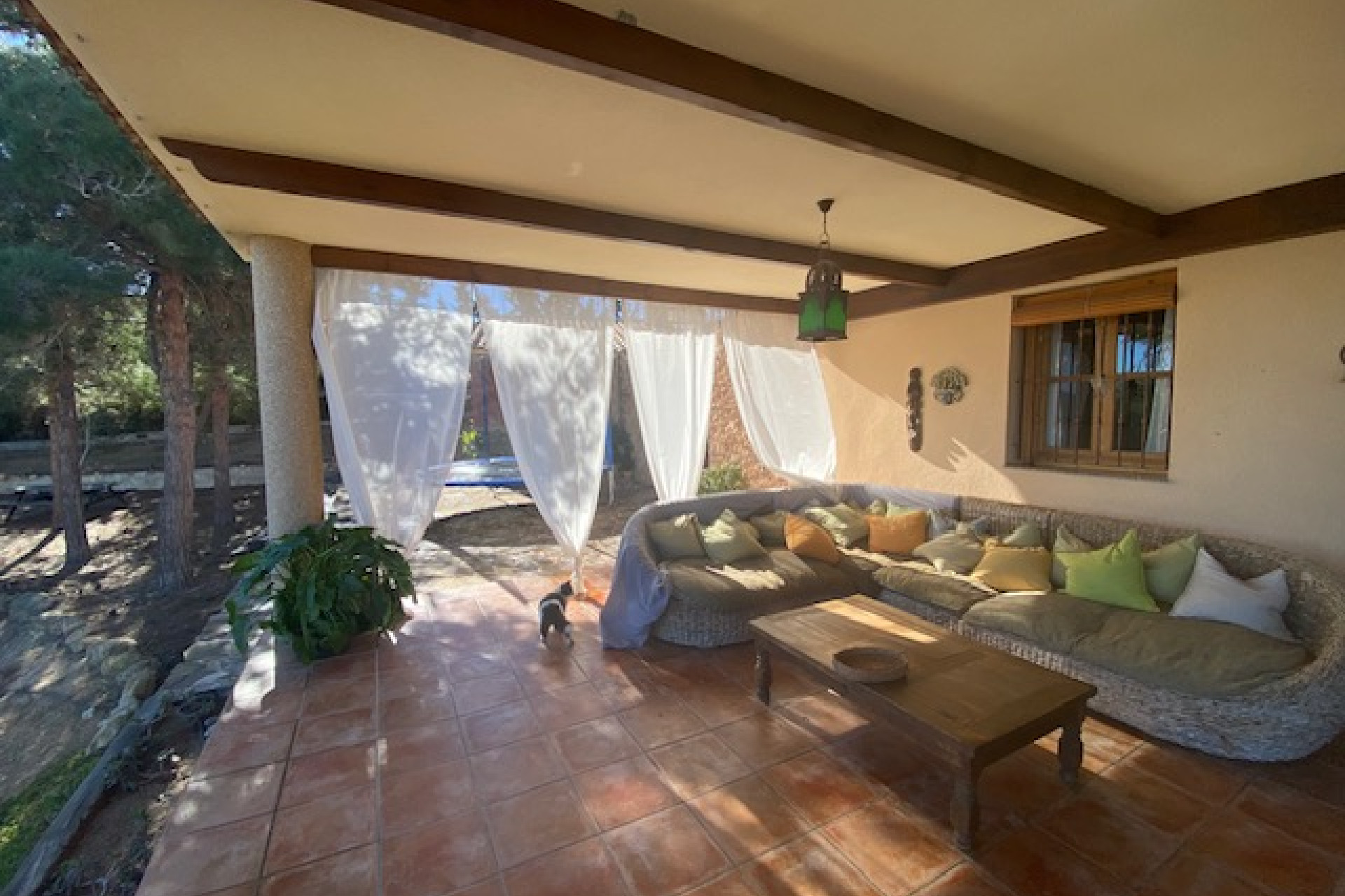 Reventa - Finca / Casa de Campo - Murcia