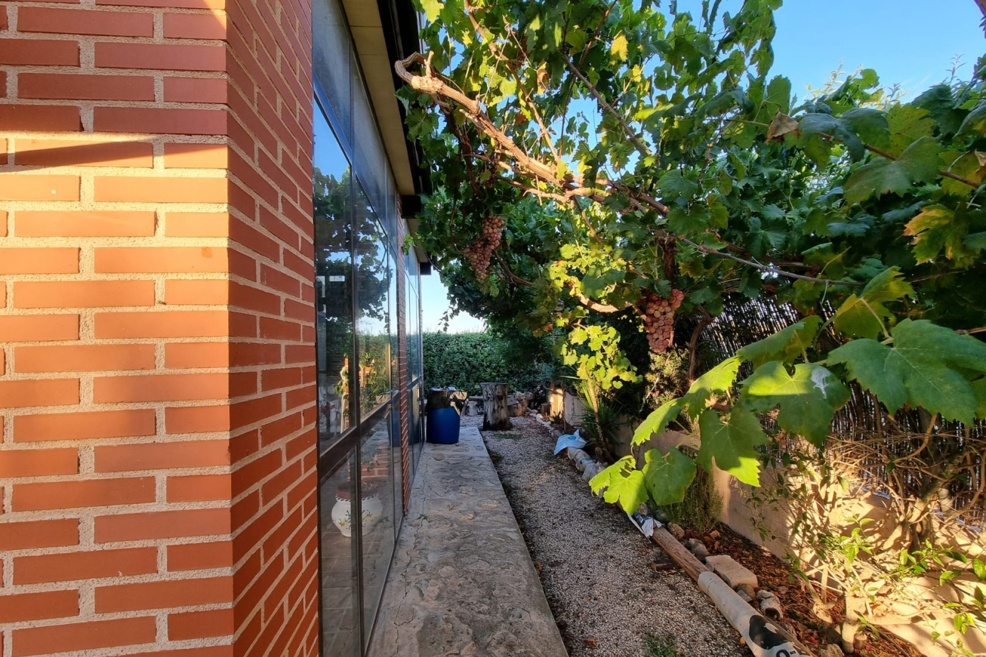 Reventa - Finca / Casa de Campo - Orihuela - Benferri