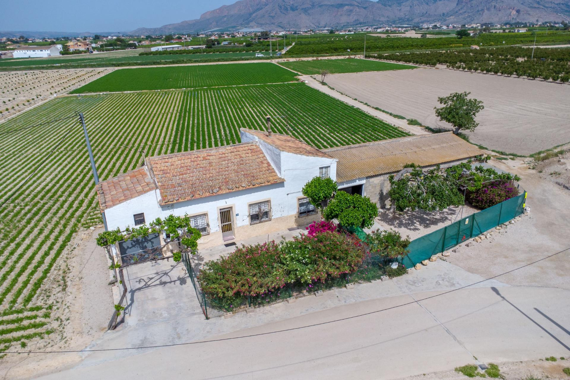 Reventa - Finca / Casa de Campo - Orihuela - Desamparados-Hurchillo-Torremendo