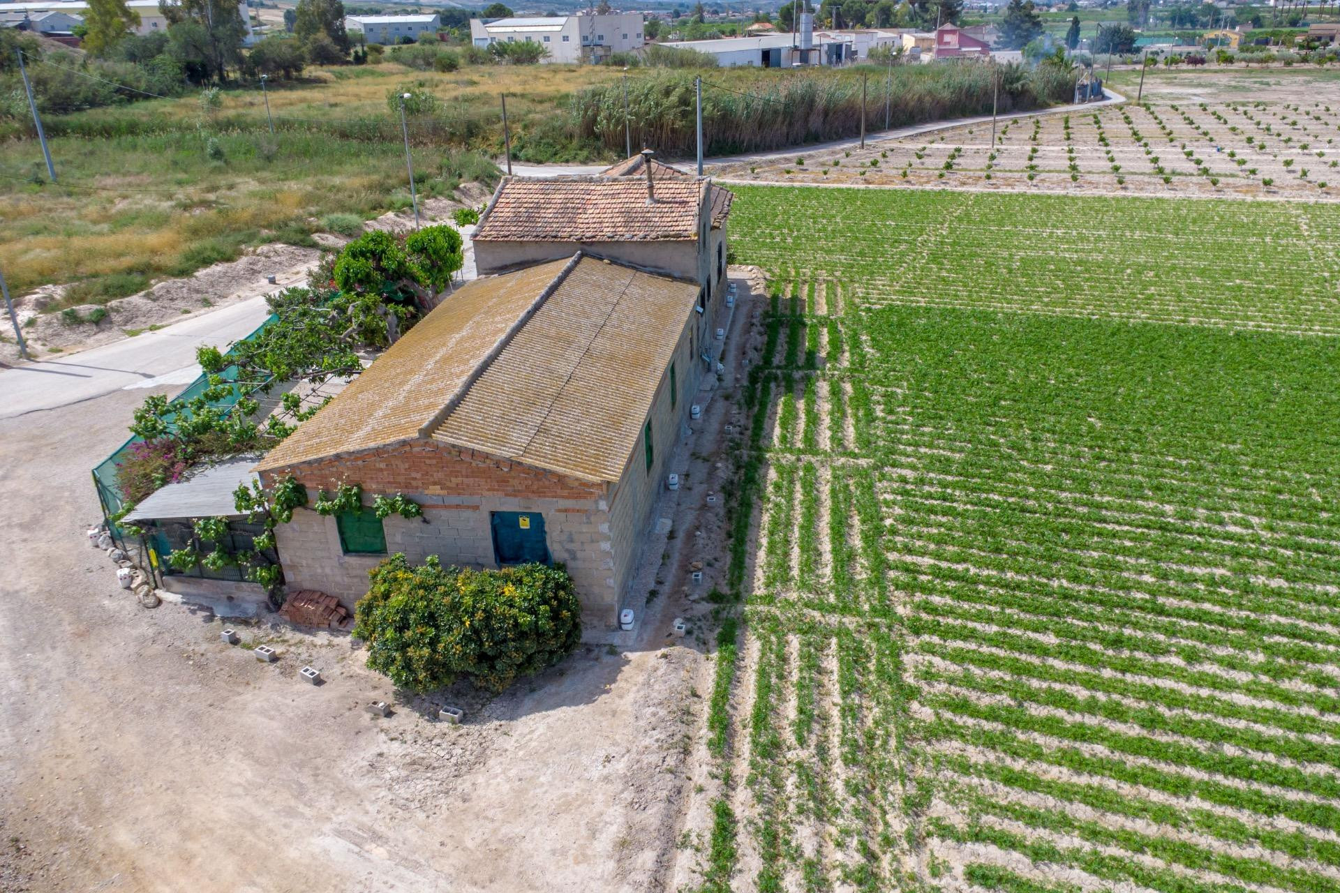 Reventa - Finca / Casa de Campo - Orihuela - Desamparados-Hurchillo-Torremendo