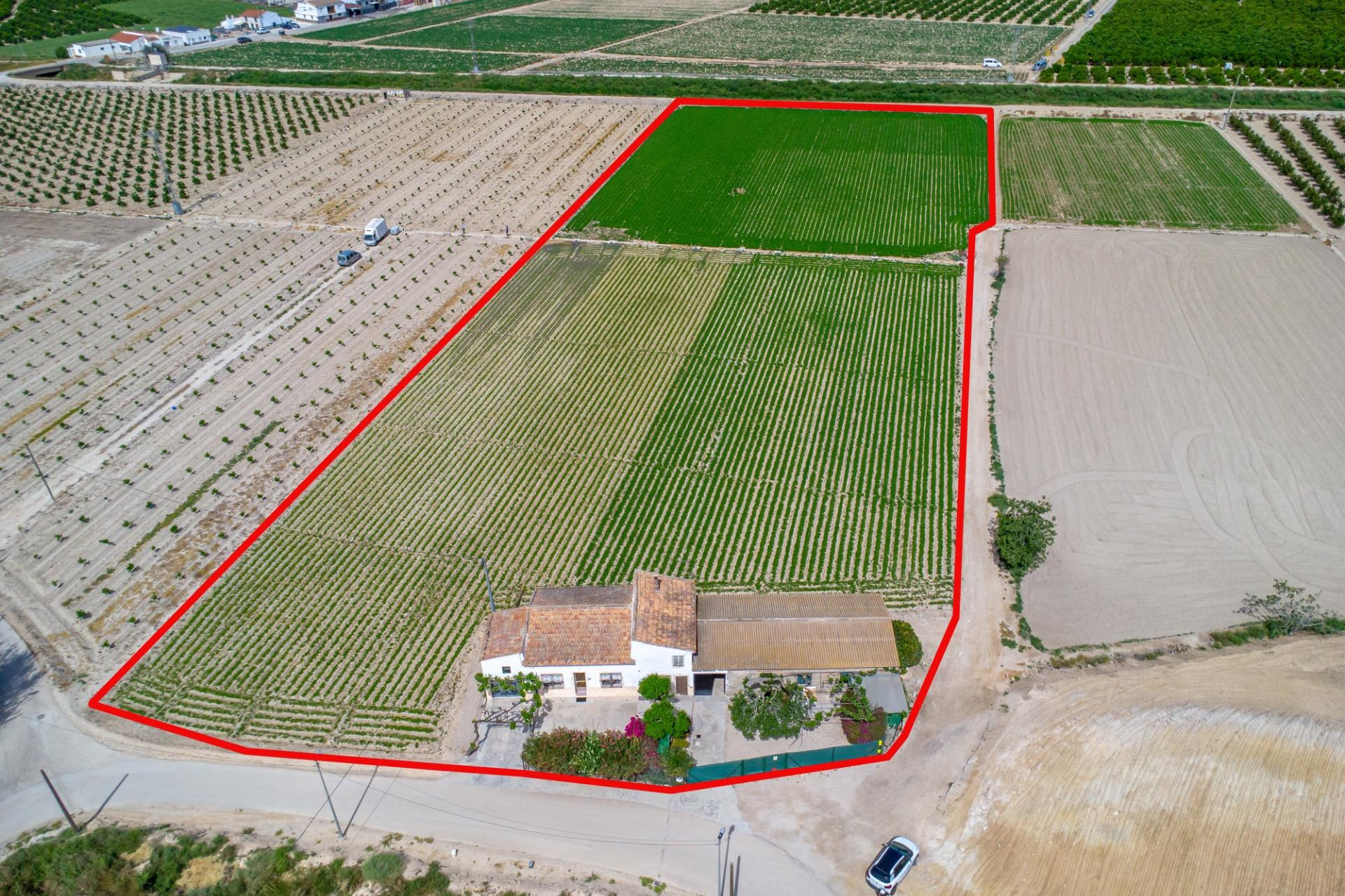 Reventa - Finca / Casa de Campo - Orihuela - Desamparados-Hurchillo-Torremendo