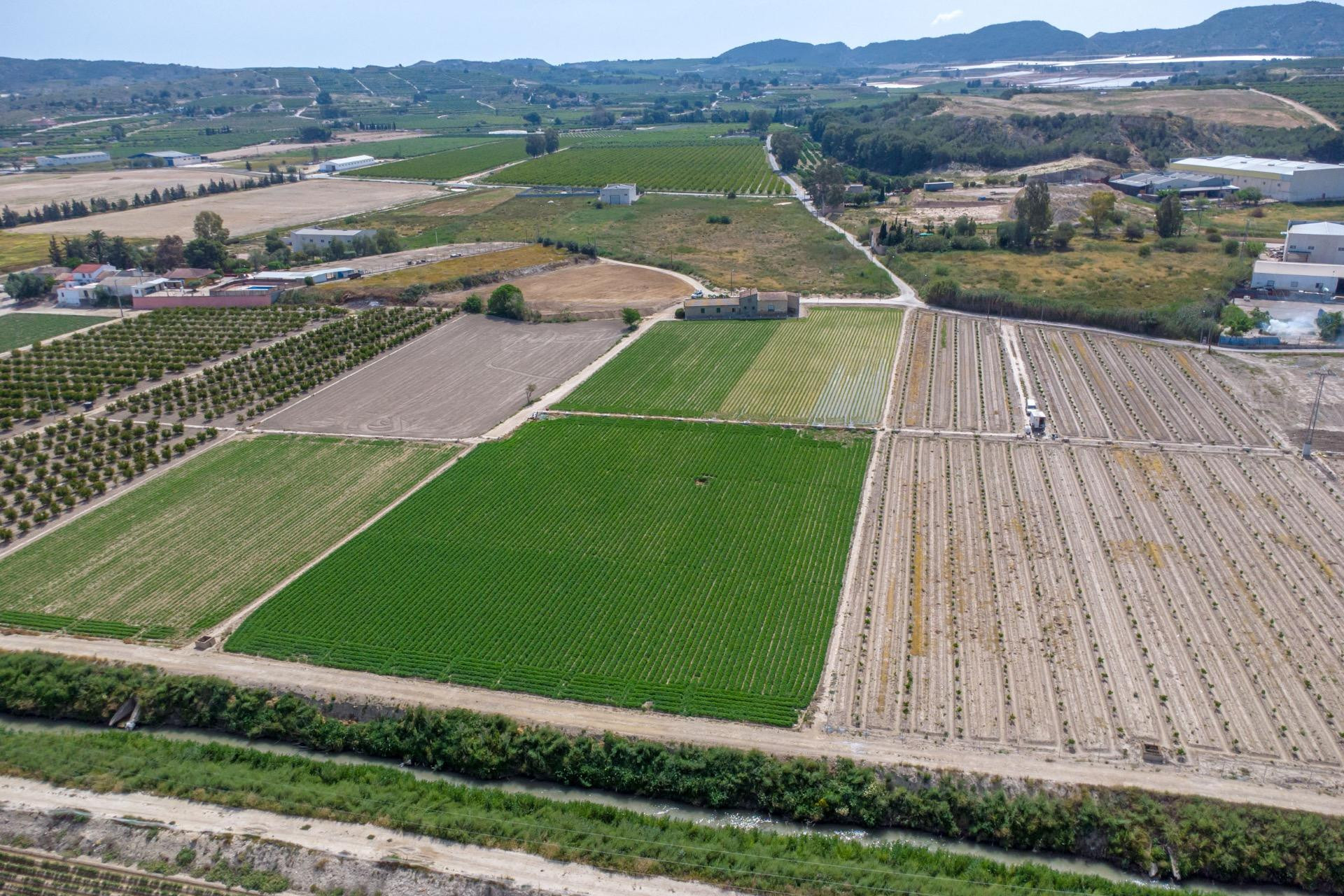 Reventa - Finca / Casa de Campo - Orihuela - Desamparados-Hurchillo-Torremendo