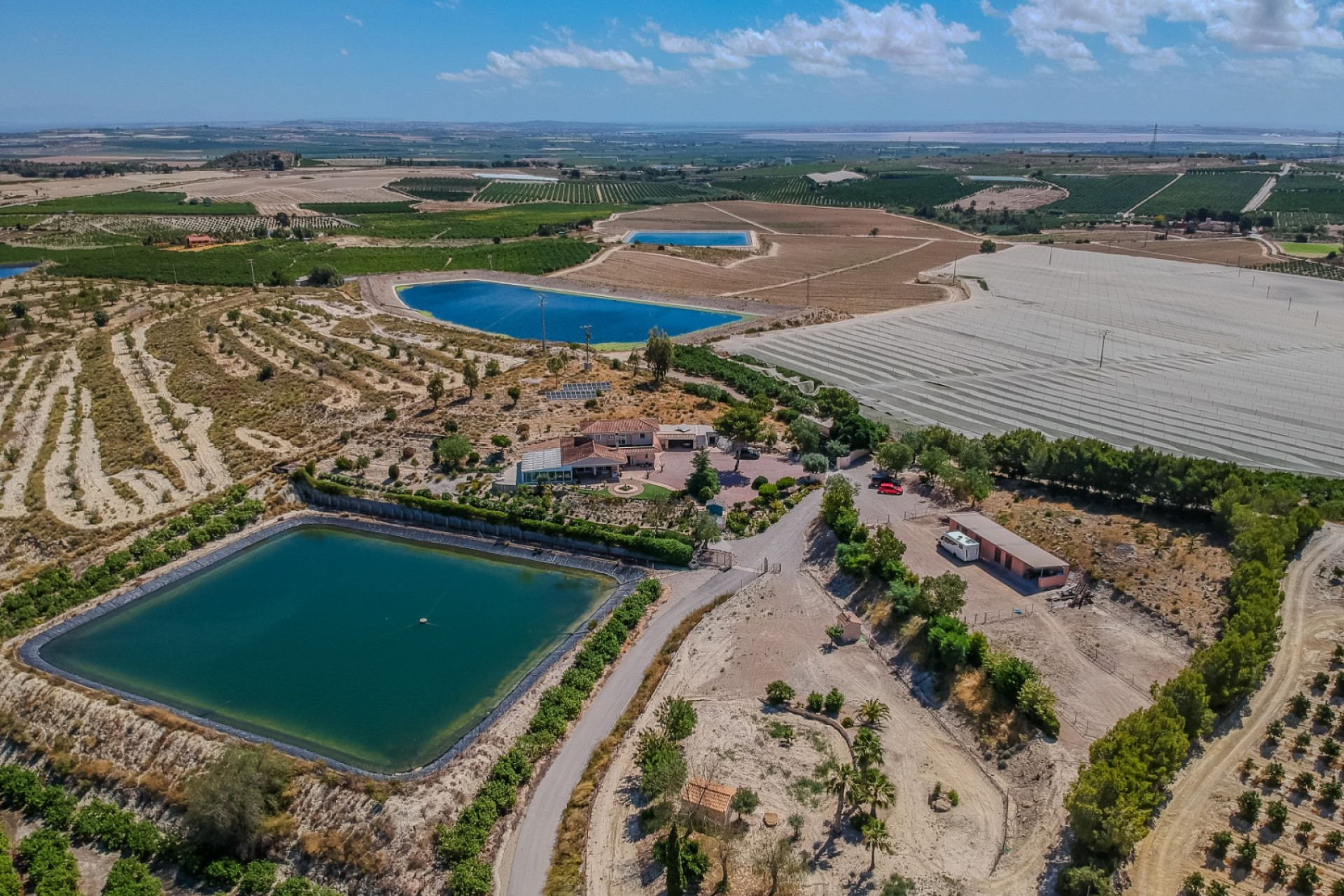 Reventa - Finca / Casa de Campo - San Miguel de Salinas - Torremendo