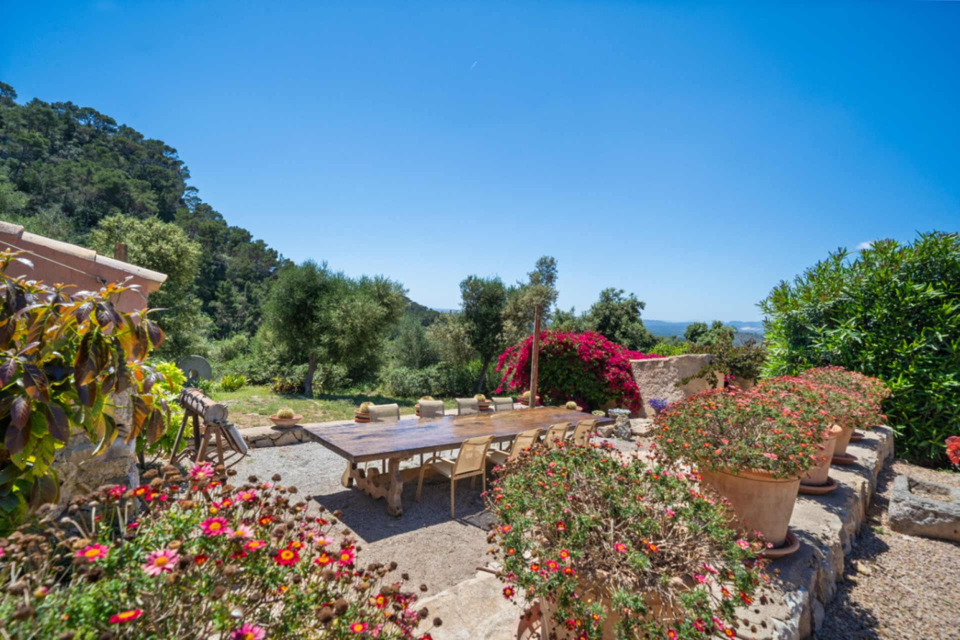 Reventa - Finca / Country House - Felanitx - Mallorca
