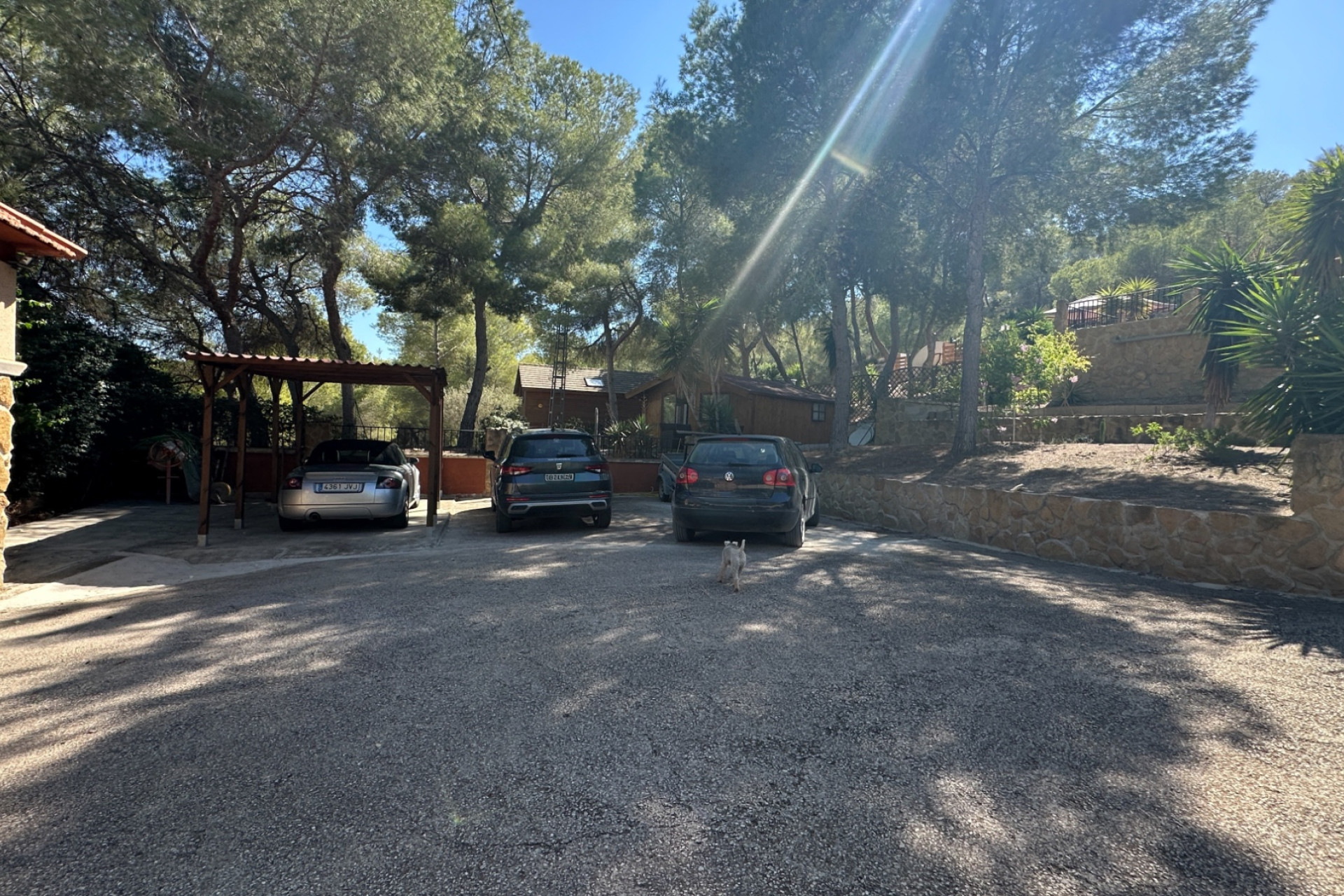 Reventa - Finca / Country House - San Miguel de Salinas - Costa Blanca Sur