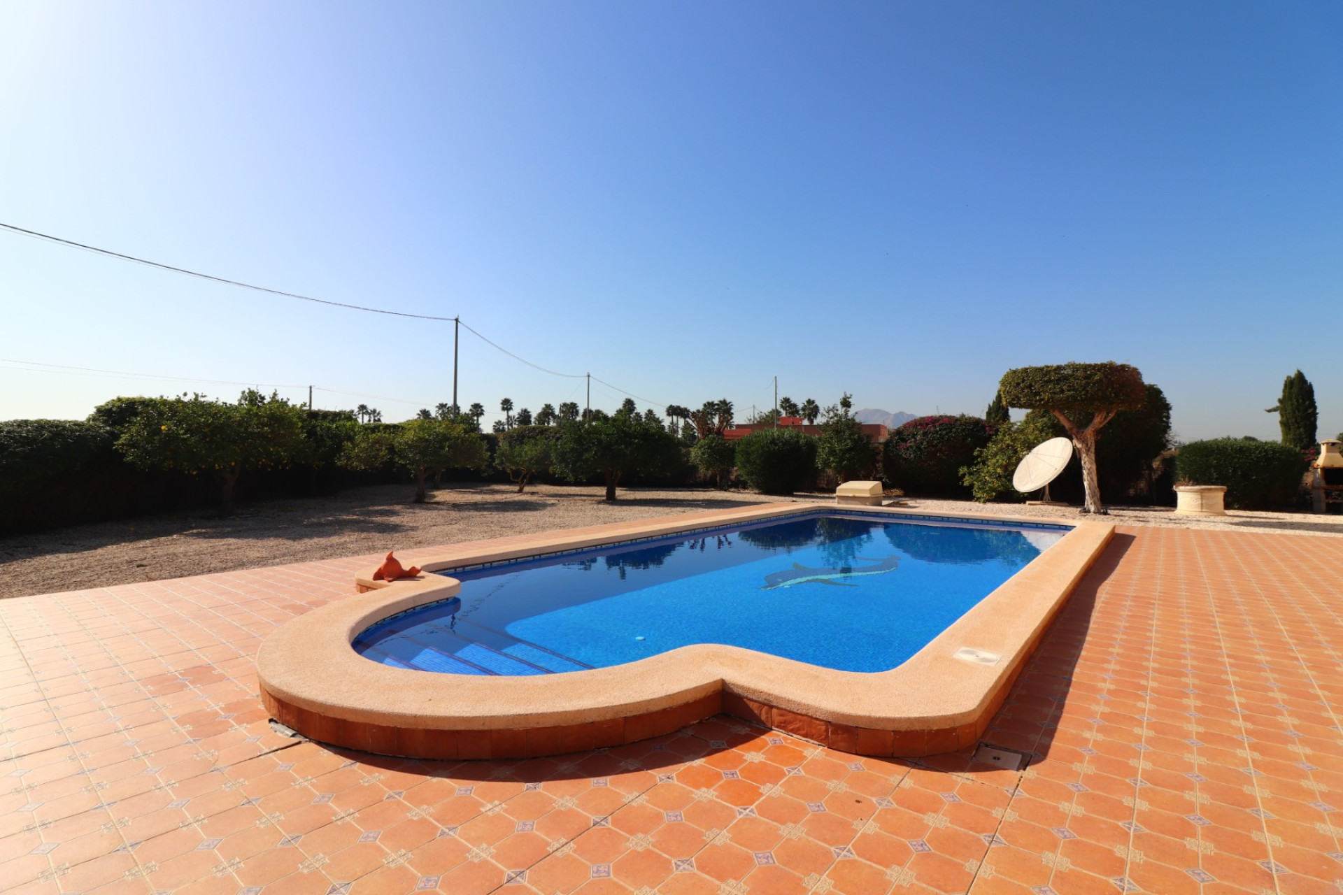 Reventa - Finca / Country Property - Catral - Catral - Country