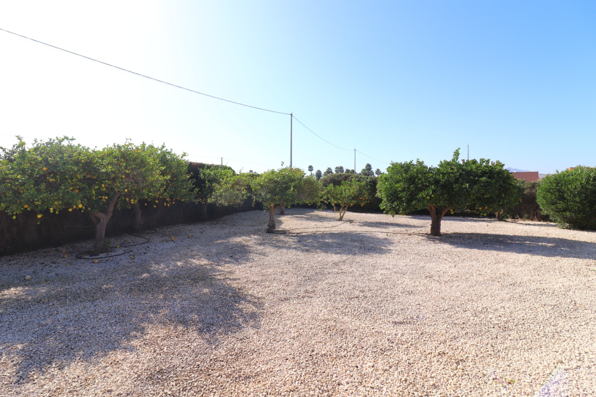 Reventa - Finca / Country Property - Catral - Catral - Country