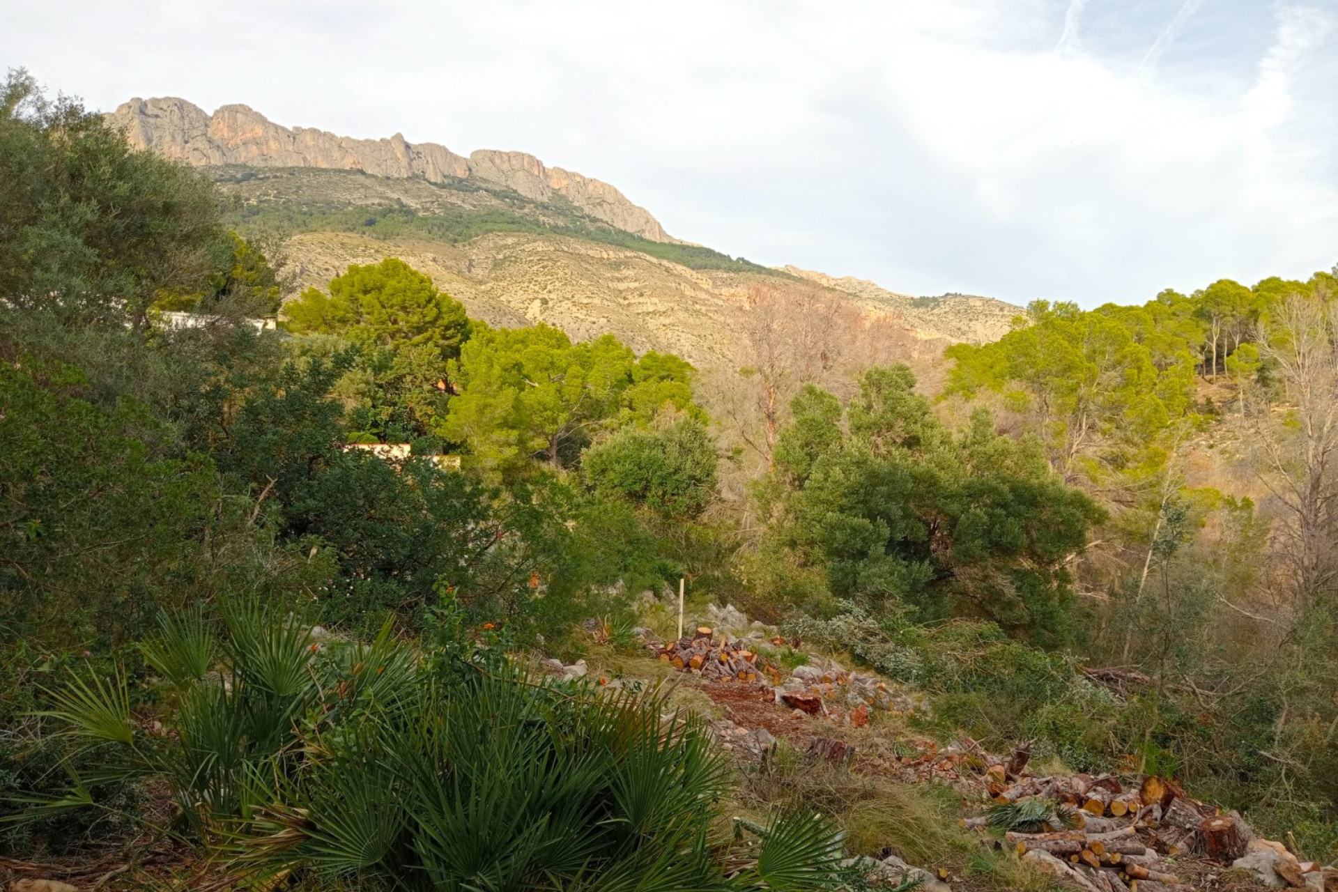 Reventa - Parcela / Terreno - Altea