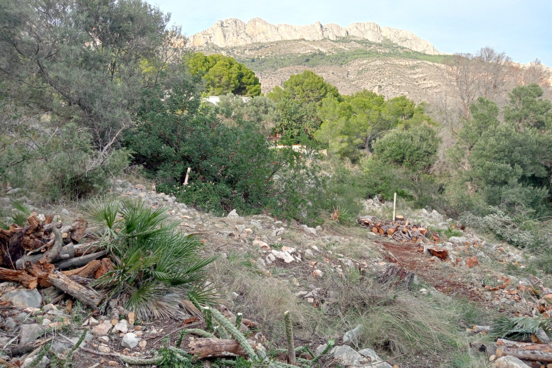 Reventa - Parcela / Terreno - Altea