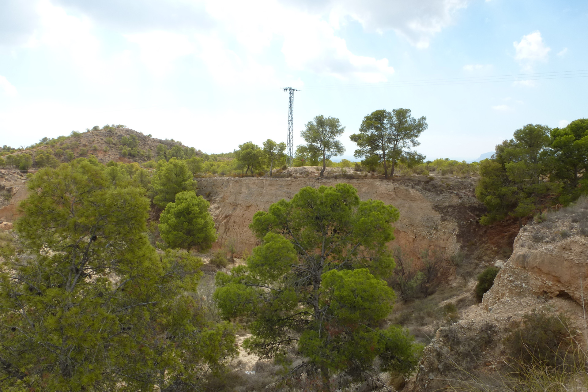 Reventa - Parcela / Terreno - Crevillente - Crevillente - Country