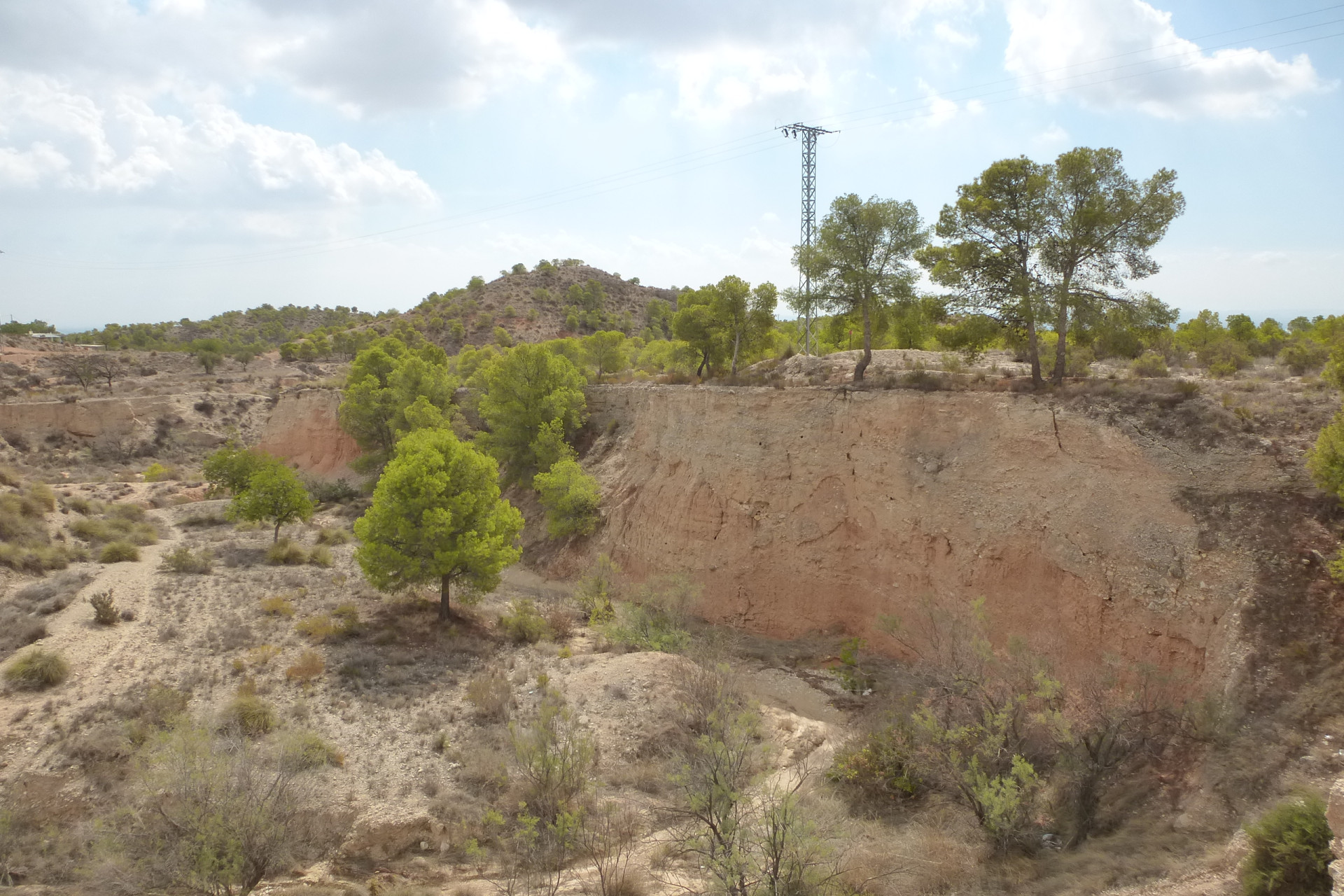 Reventa - Parcela / Terreno - Crevillente - Crevillente - Country