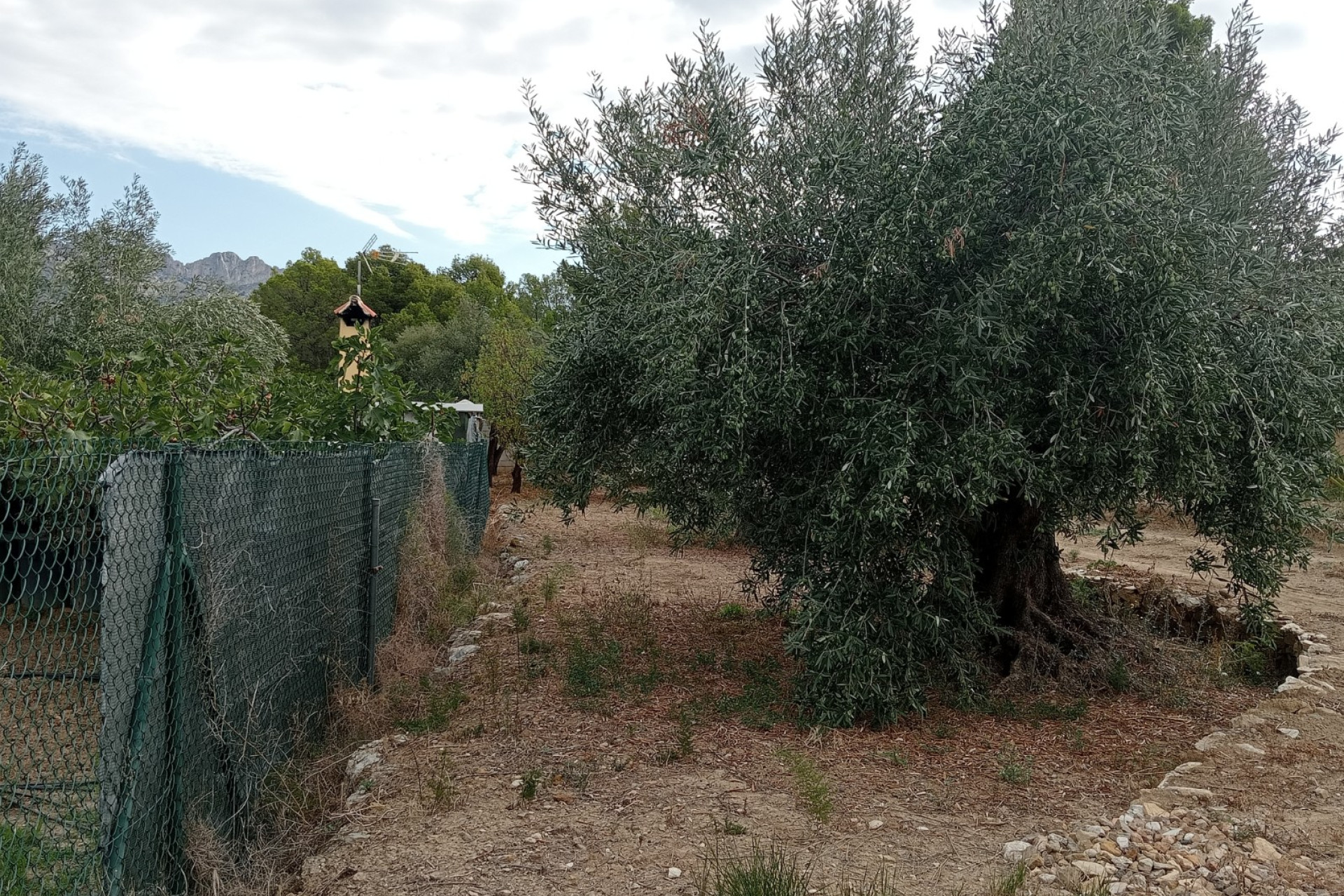 Reventa - Parcela / Terreno - La Nucía