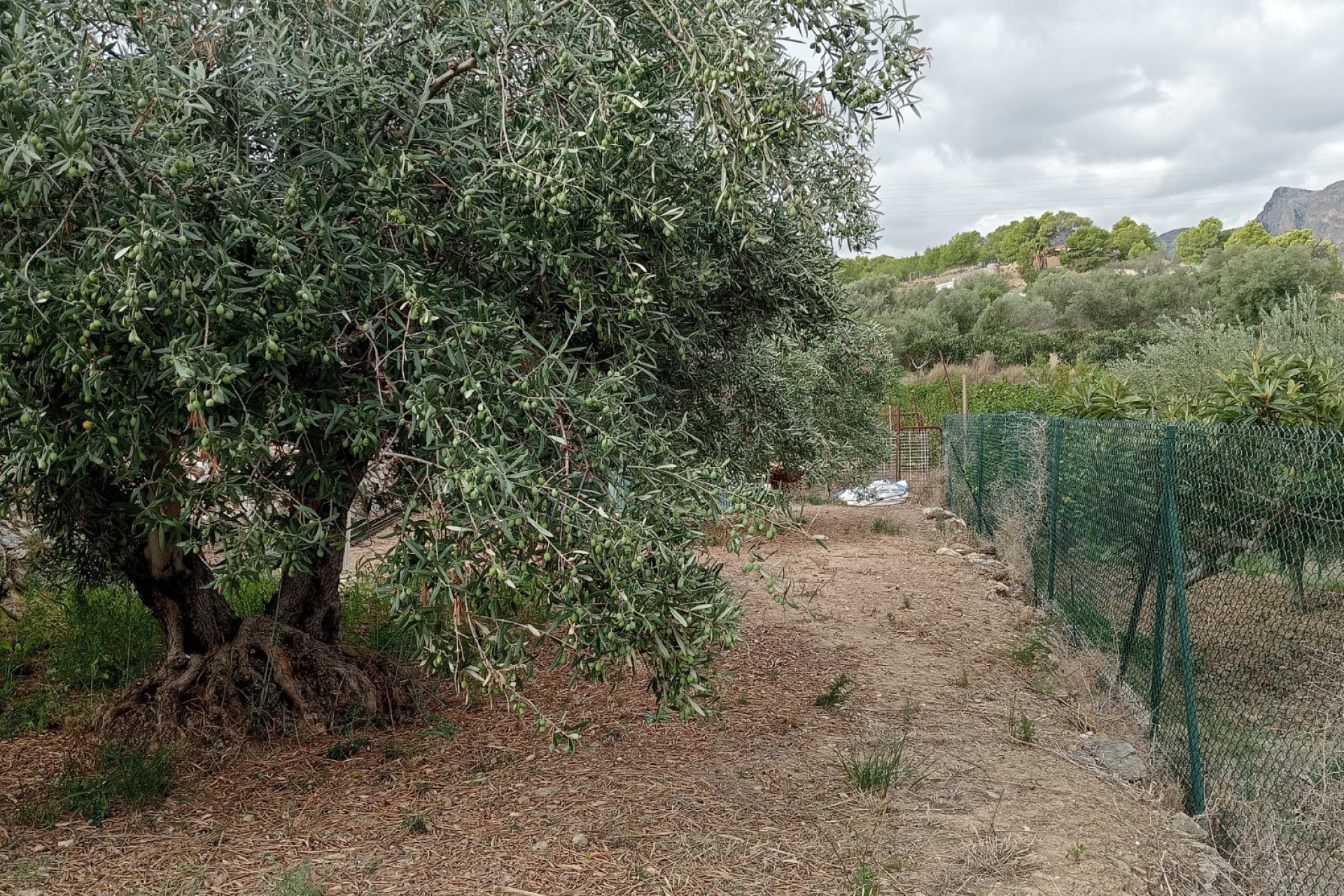 Reventa - Parcela / Terreno - La Nucía