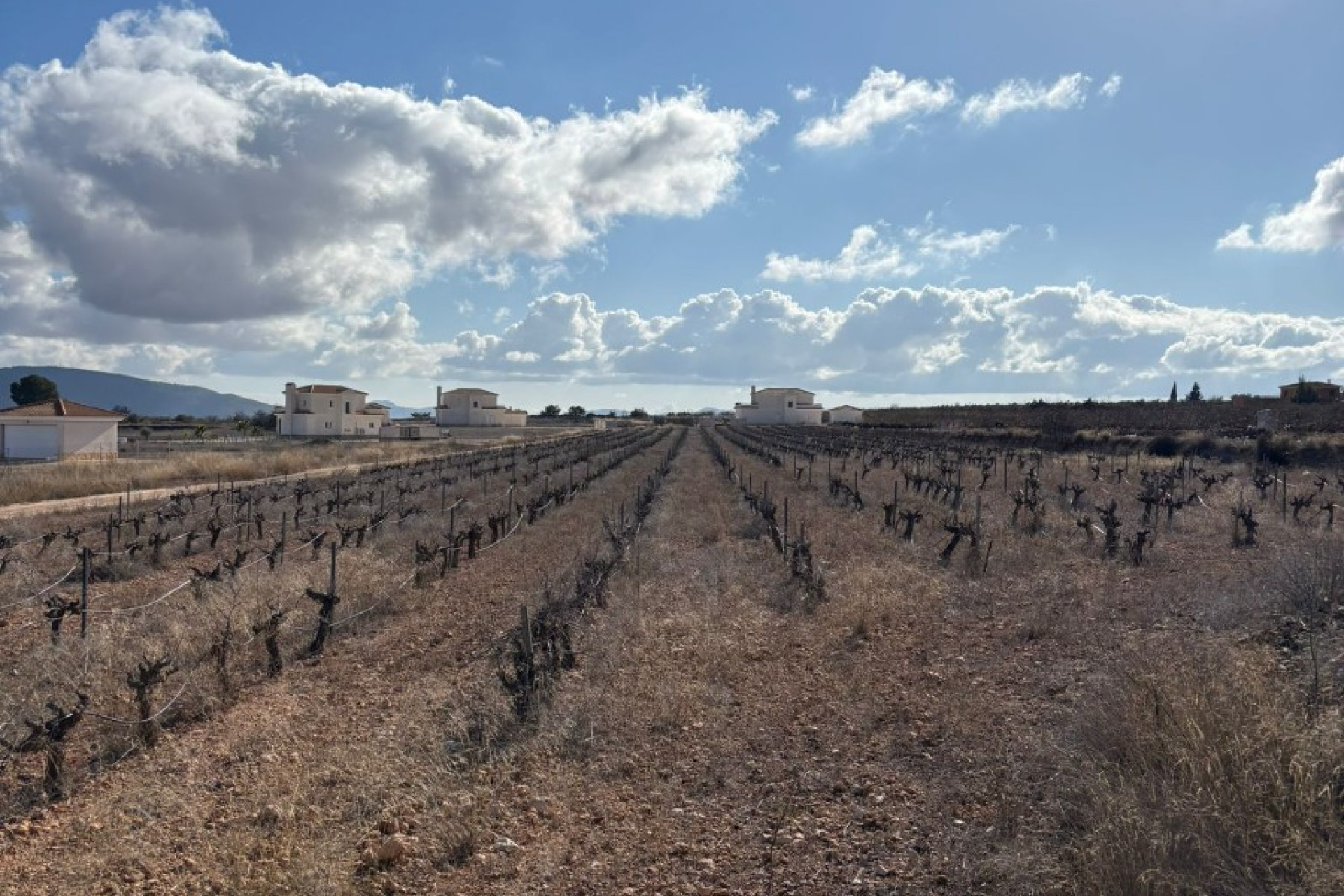 Reventa - Parcela / Terreno - Pinoso - el Pinós / Pinoso