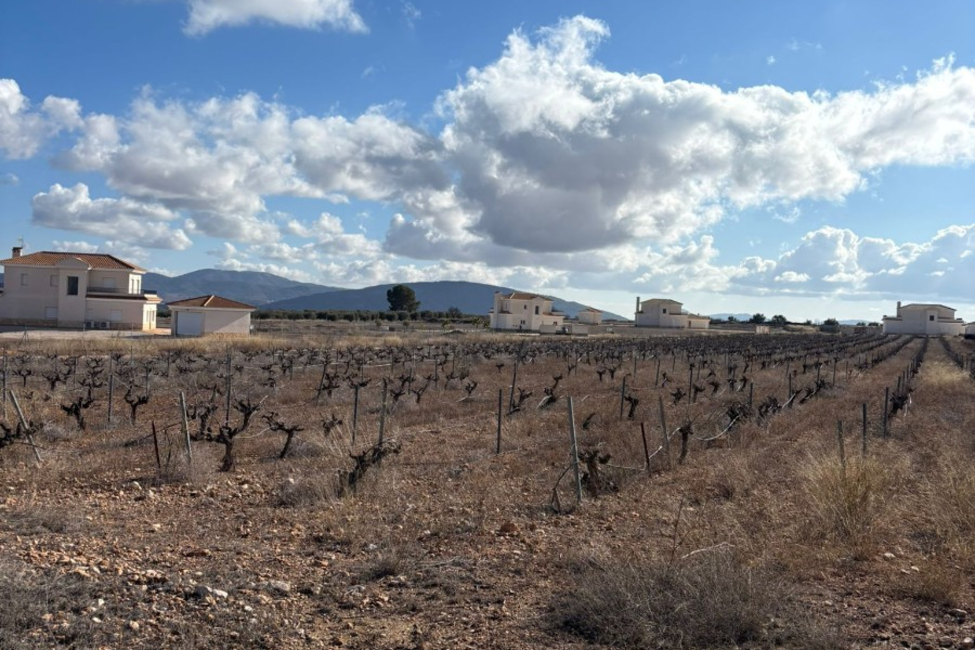 Reventa - Parcela / Terreno - Pinoso - el Pinós / Pinoso