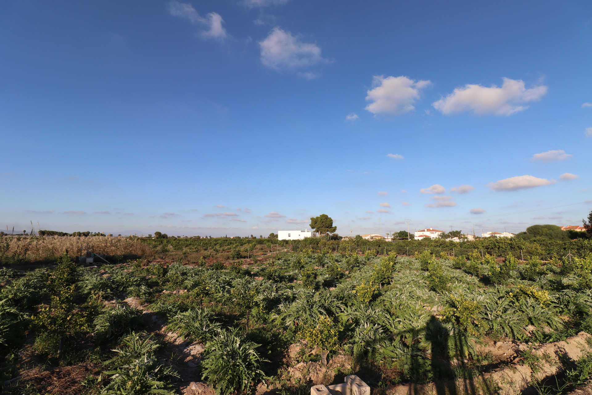 Reventa - Parcela / Terreno - Rojales - Los Palacios