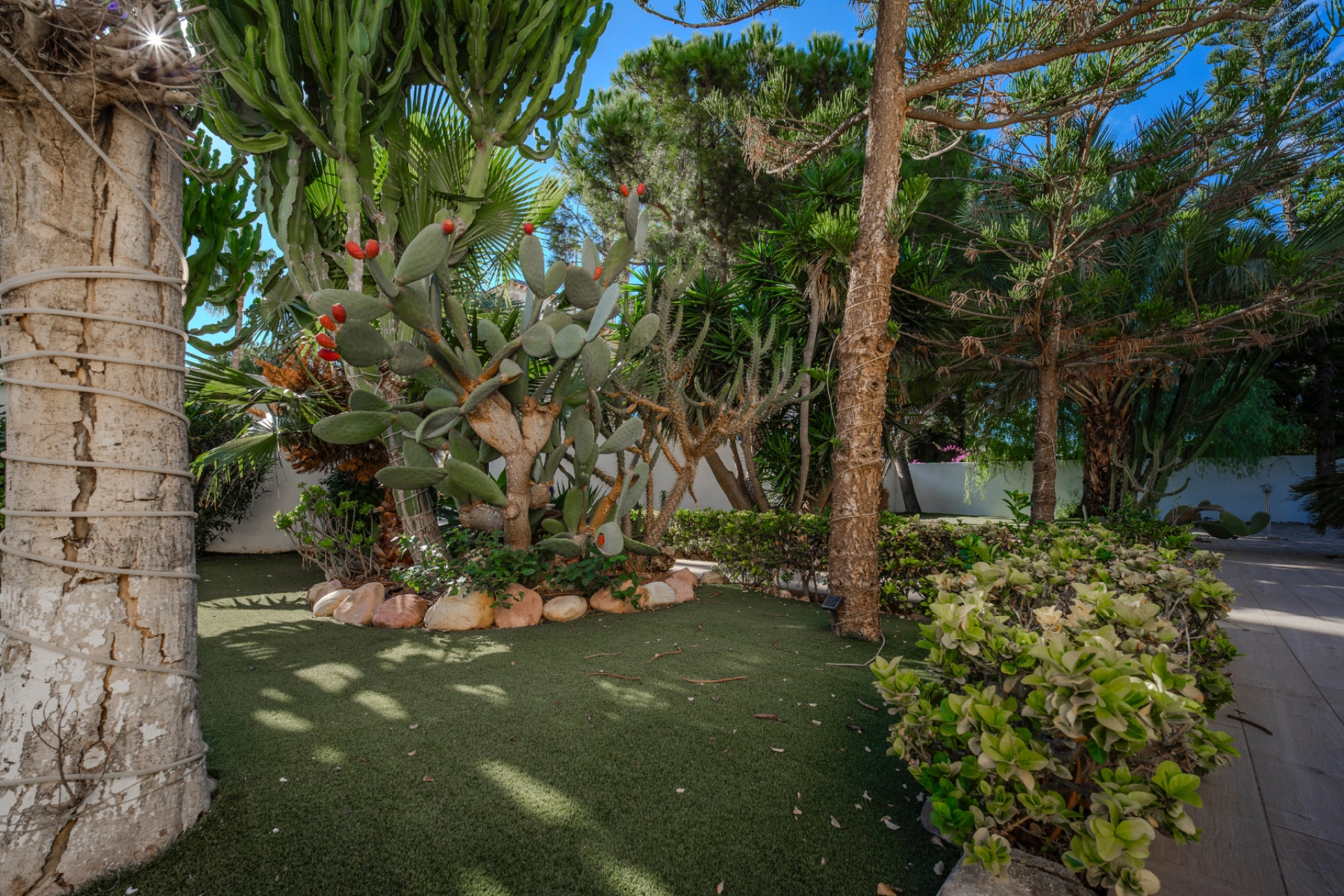 Reventa - Villa - Ciudad Quesada - Doña pepa