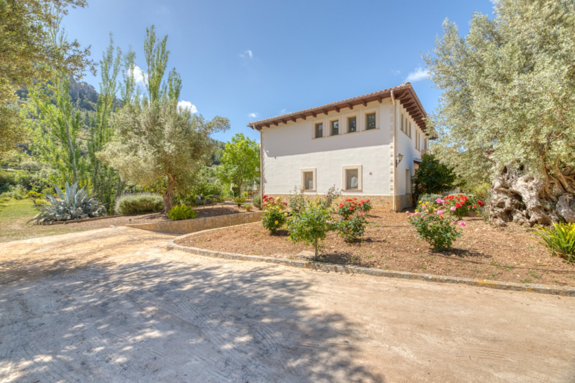 Reventa - Villa - Esporlas - Mallorca