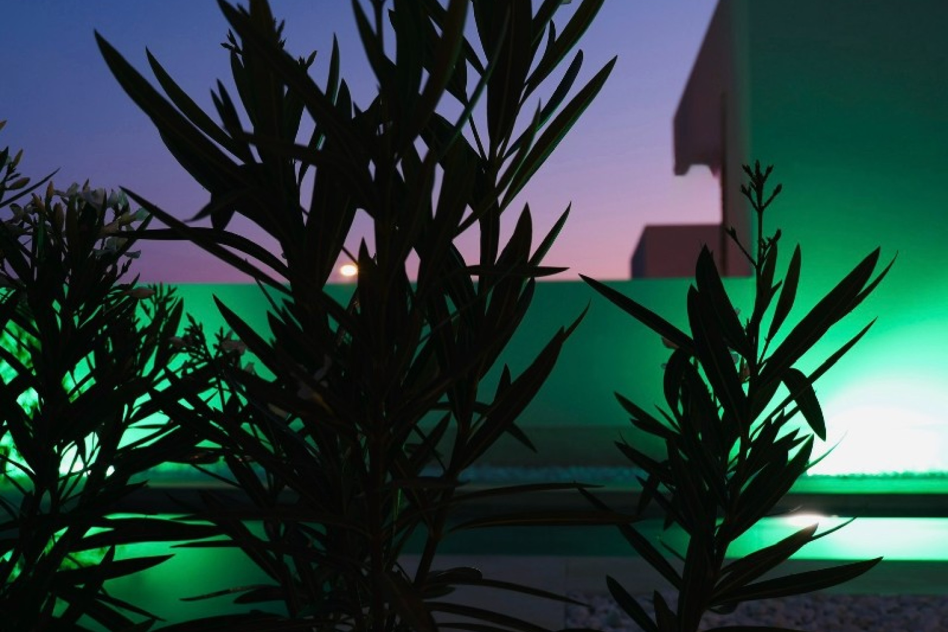 Reventa - Villa - Finestrat