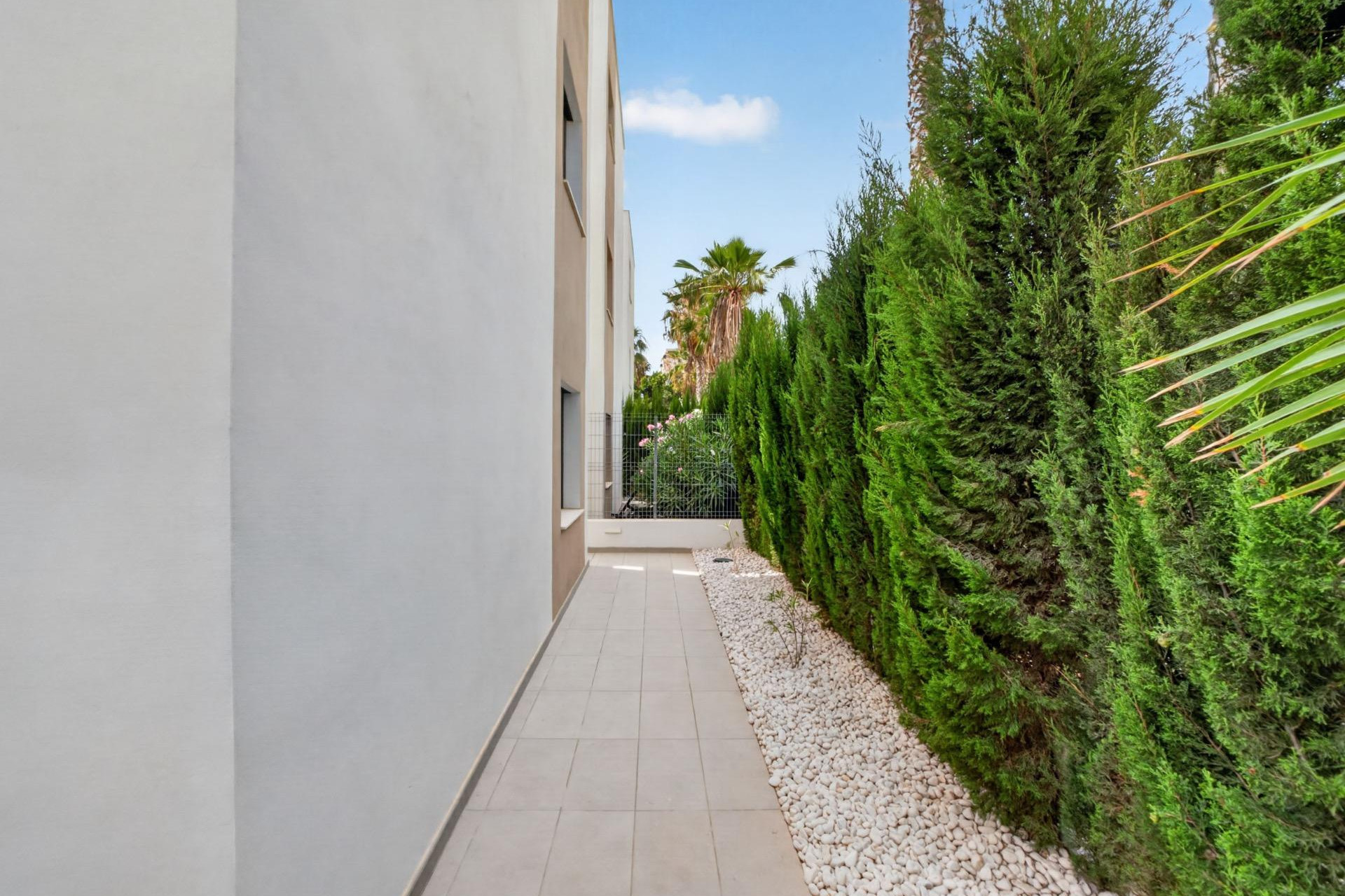 Reventa - Villa - Guardamar del Segura - EL RASO